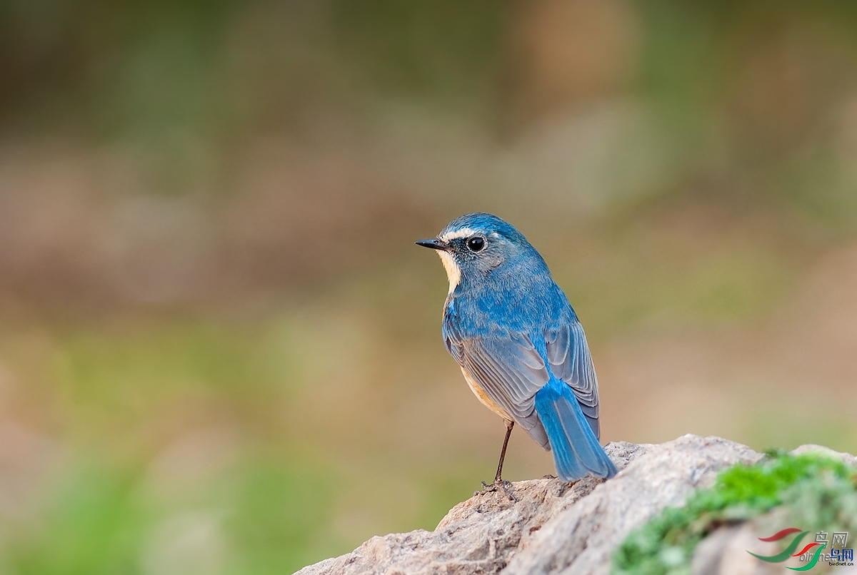 С¥��ݺ   ��ʦ����.jpg