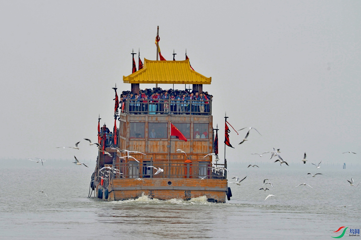 FILE0006 (970).jpg