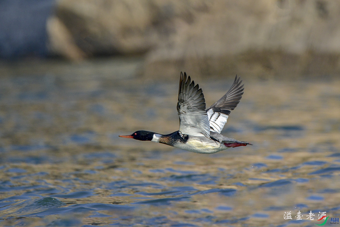 ������ɳѼ