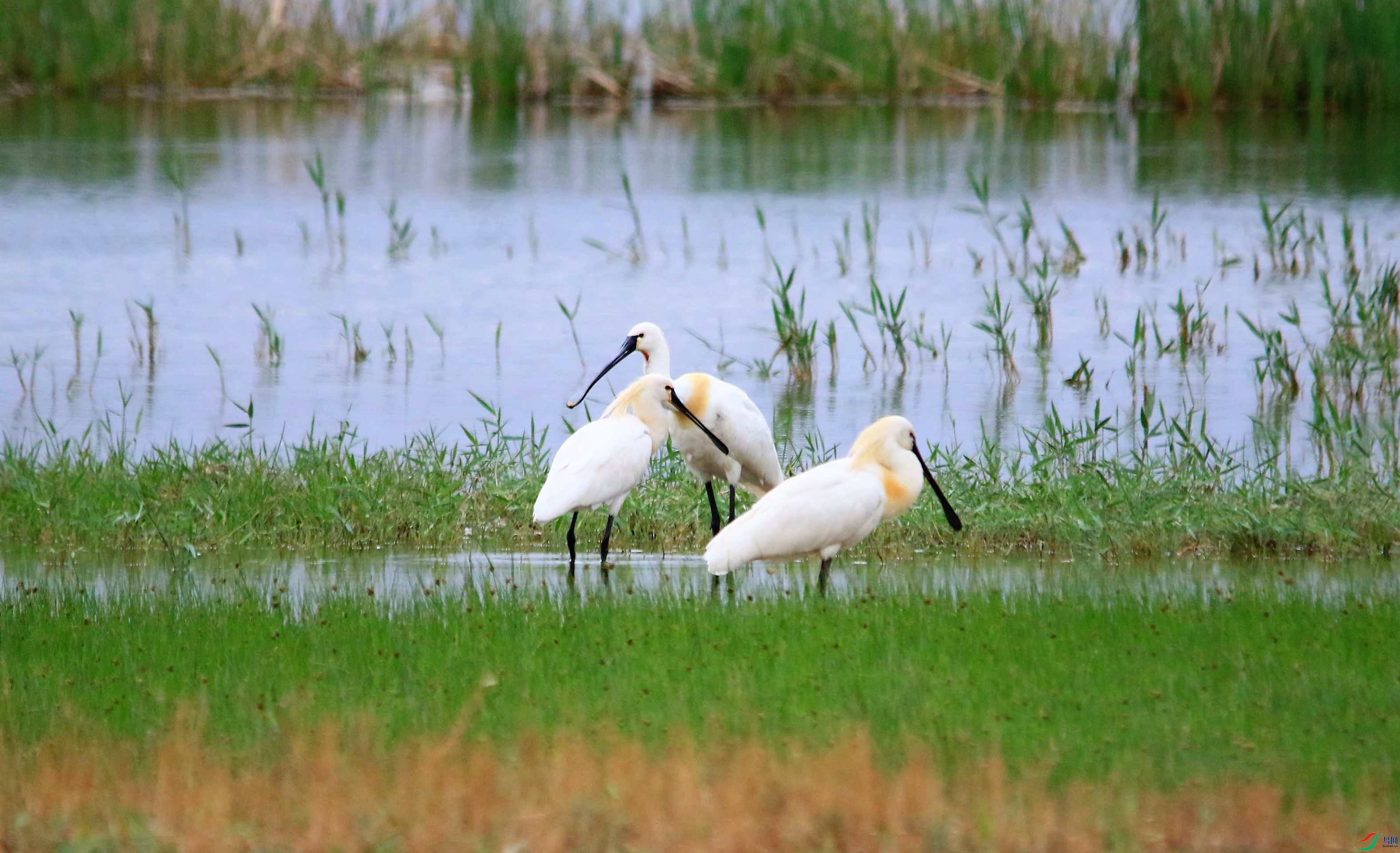 ������ (33).JPG