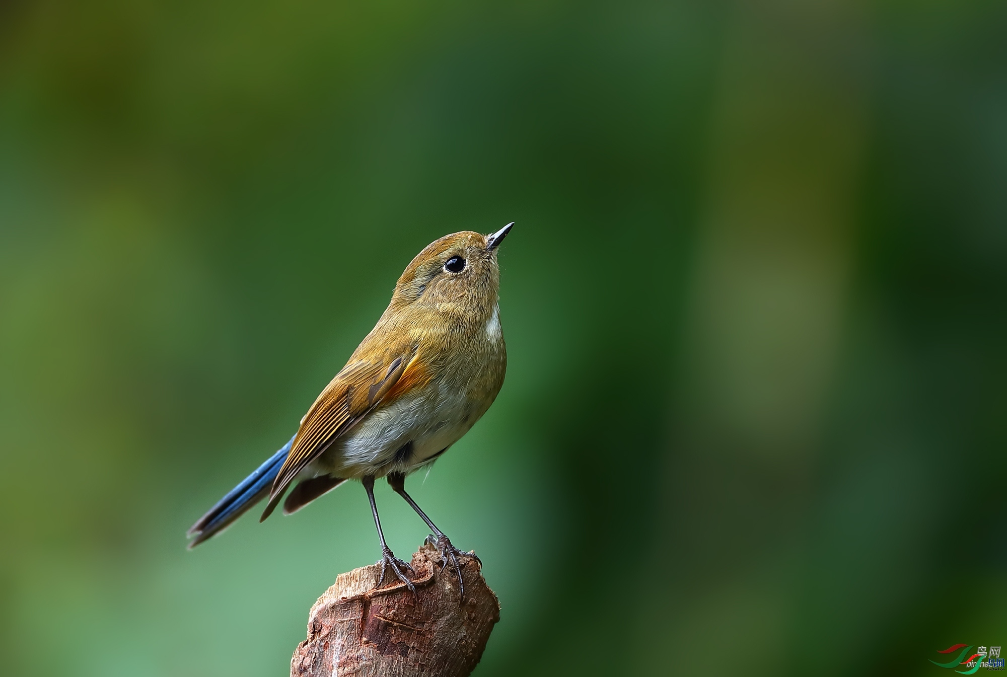 �����������  ��ʦ����������ʡ��ɽ���ڳ���.jpg