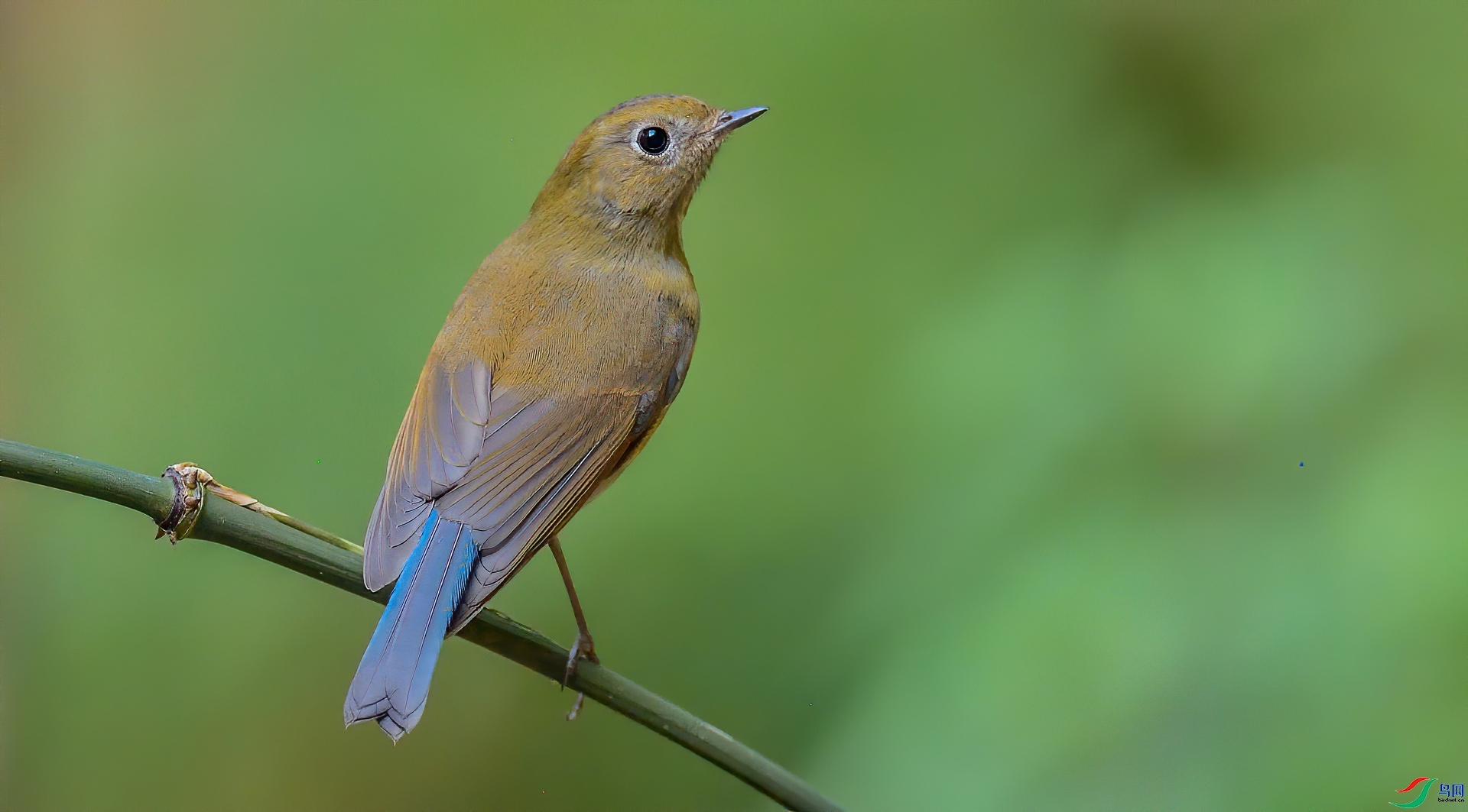 ������  ��ʦ����������ʡ��ɽ���ڳ���1.jpg