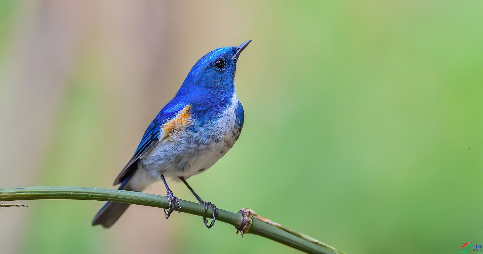 ������  ��ʦ����������ʡ��ɽ���ڳ���.jpg