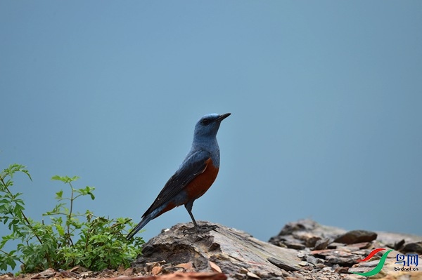 File0000051226.jpg