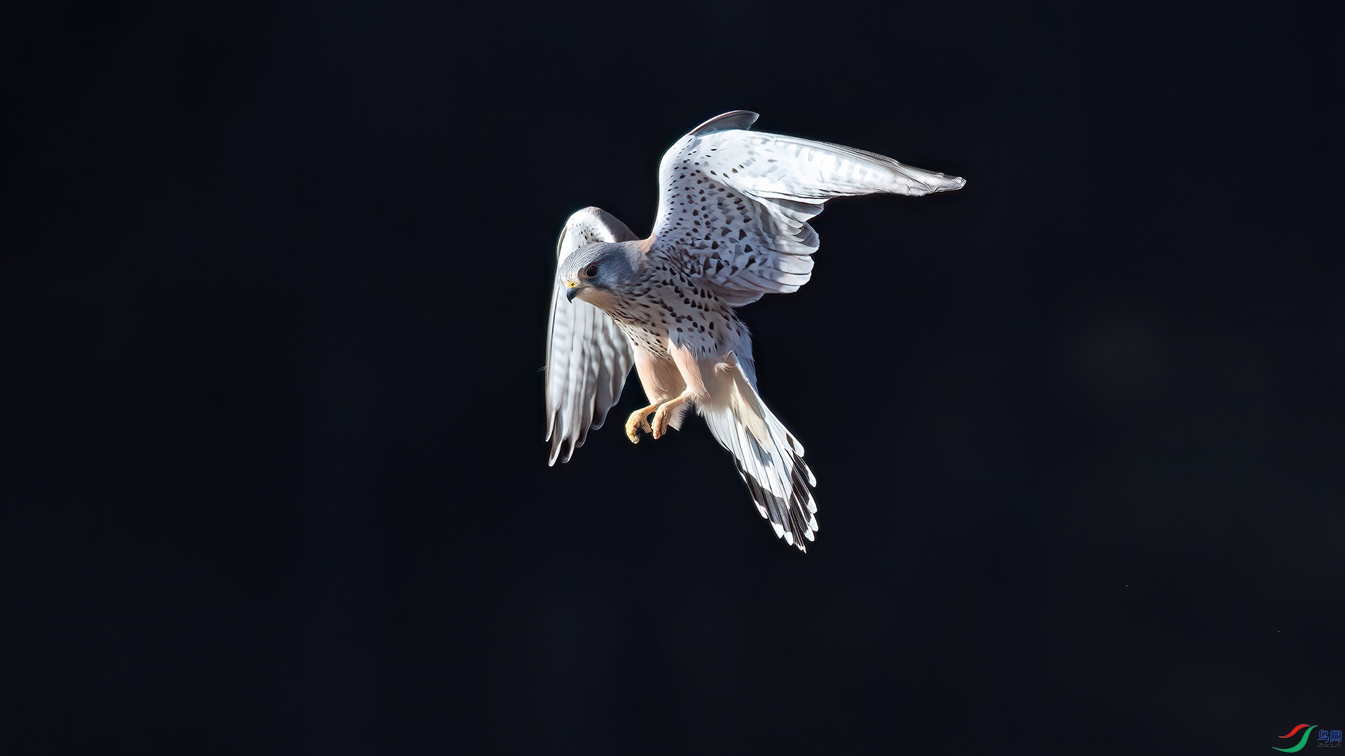 1DX_8349 ���� 2.jpg