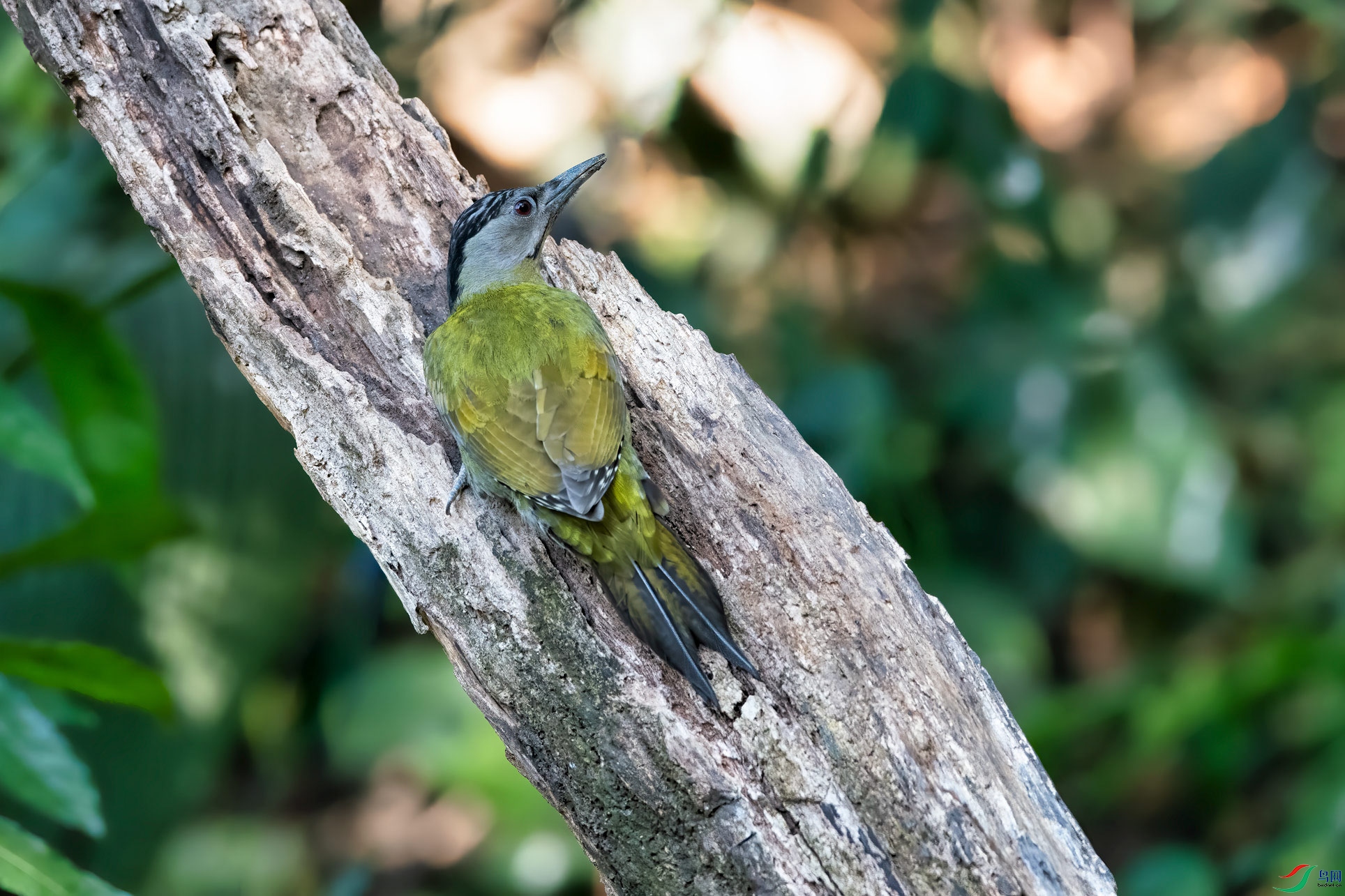DSC_2784-1.jpg