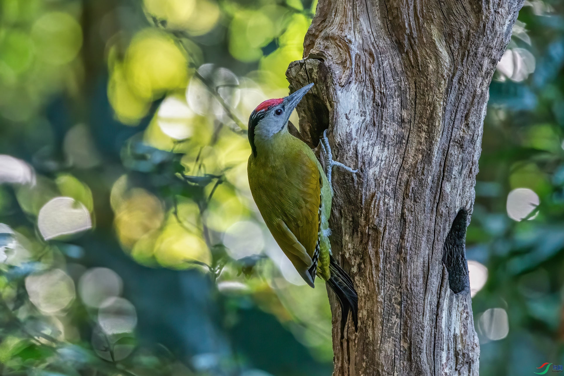 DSC_5638-1.jpg