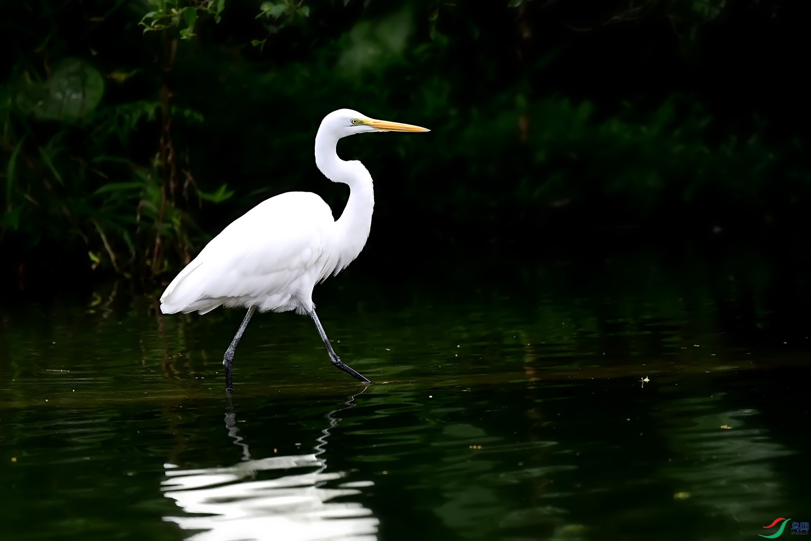 DSC_4931.jpg
