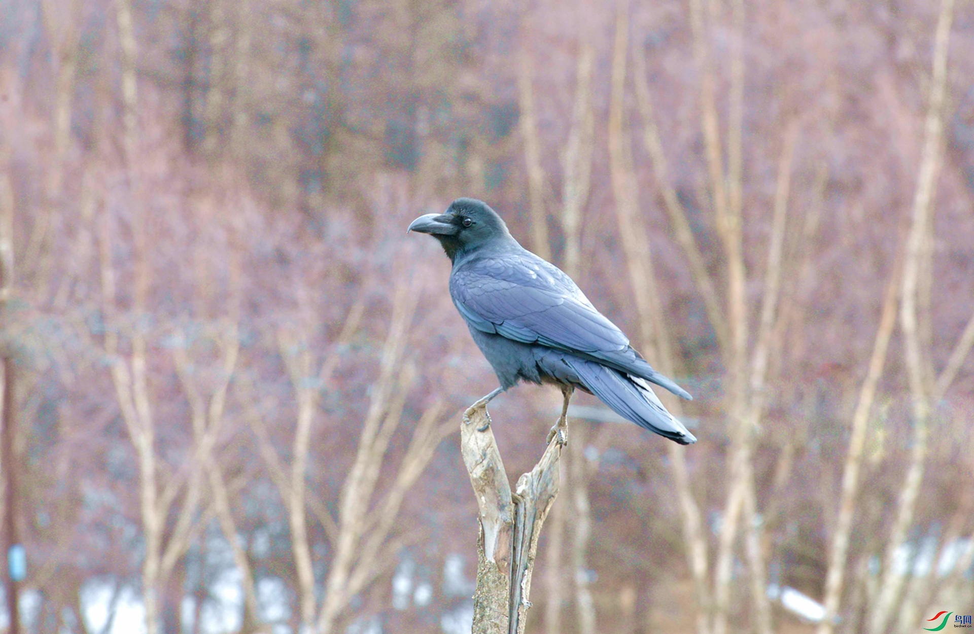 _DSC3144.JPG