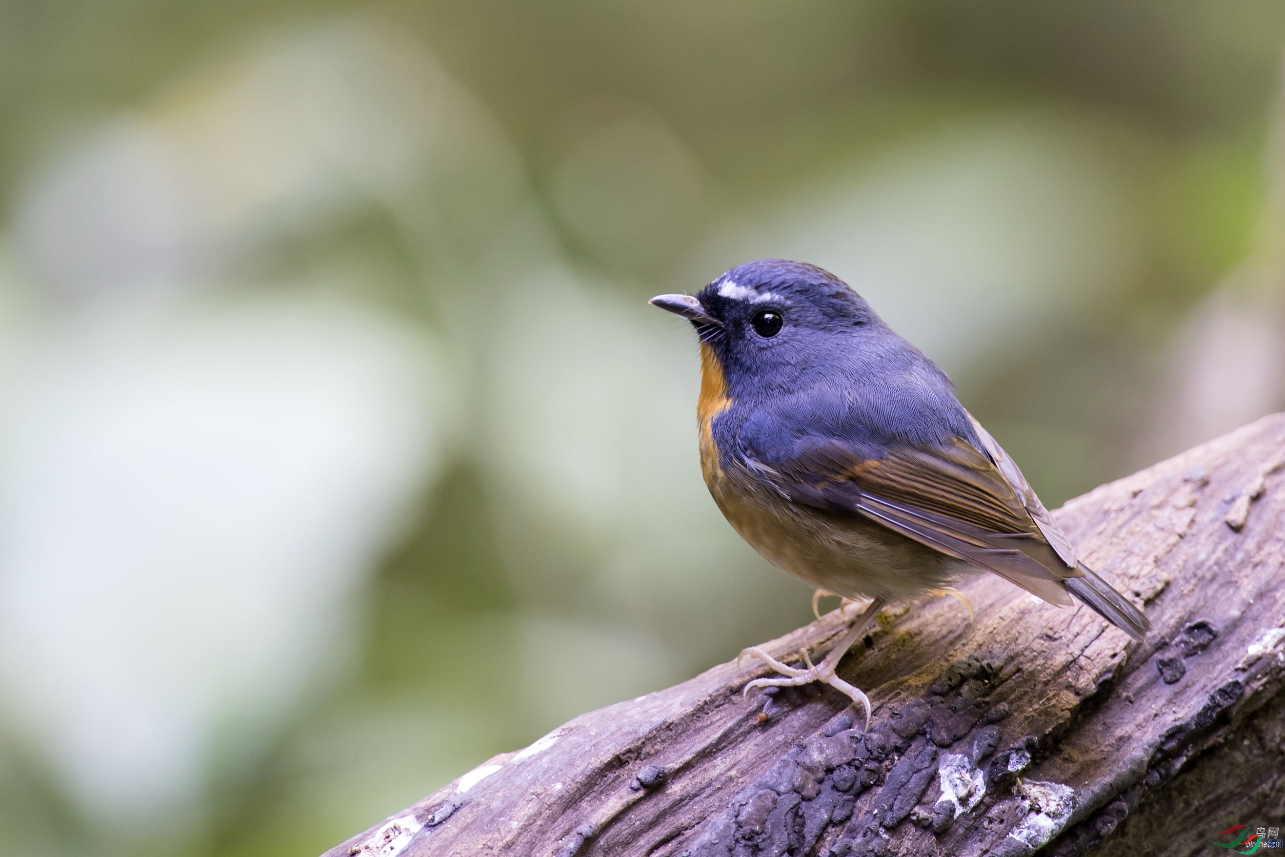 ƮƮ��  ��ʦ����������ʡ�º���徰����������.jpg