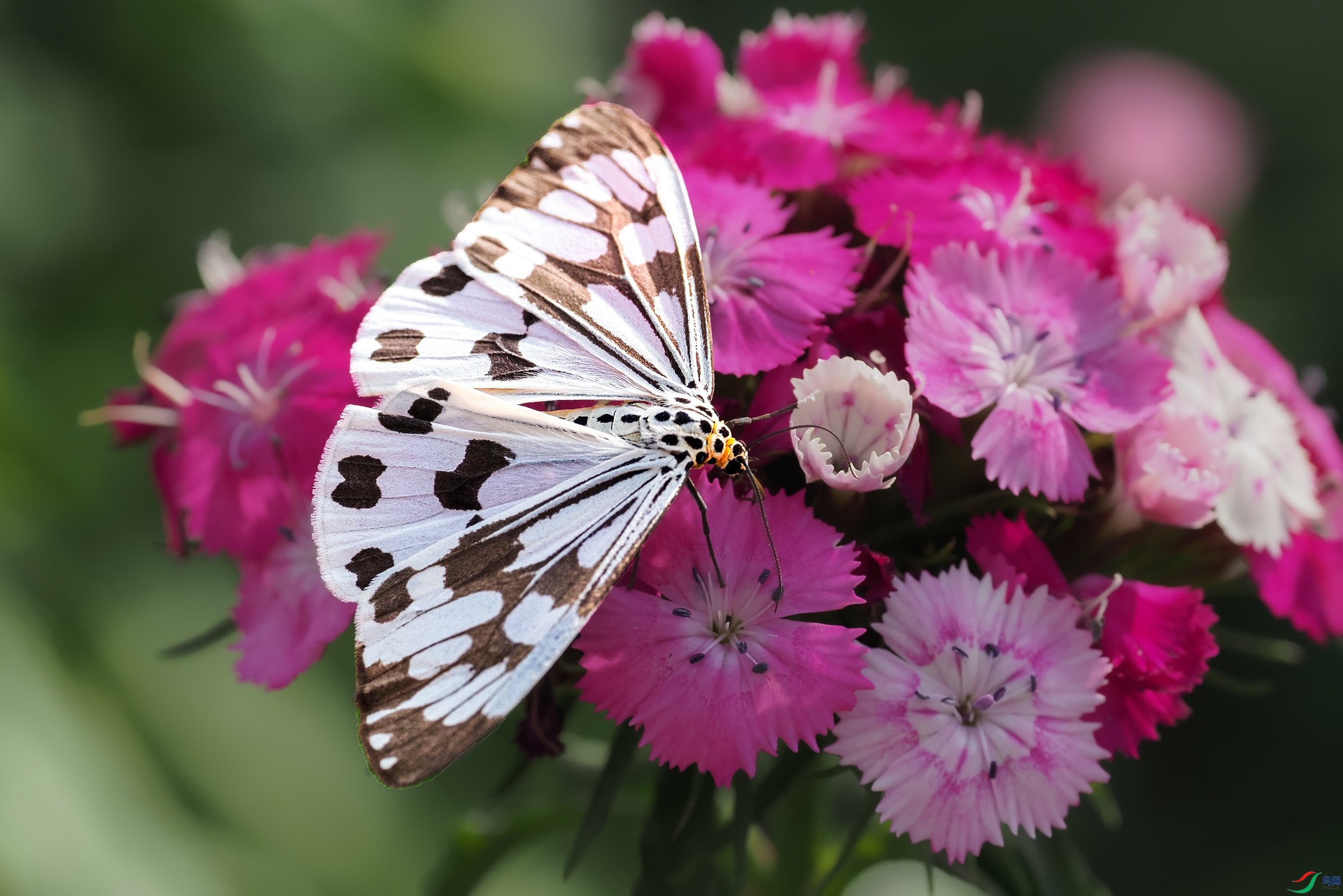PB121224-1.jpg