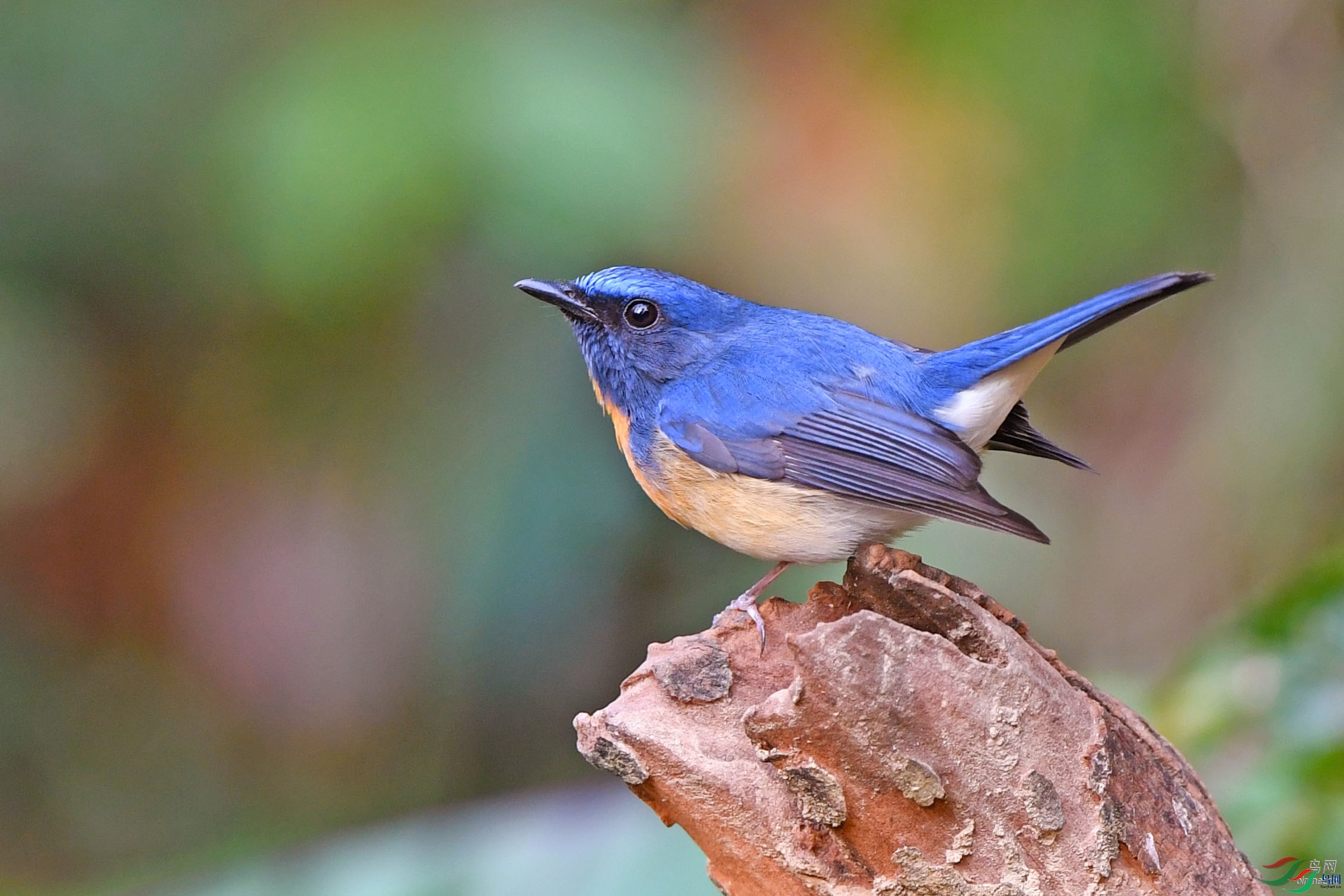 ����ӭ��  ��ʦ����������ʡ��ɽ��.jpg