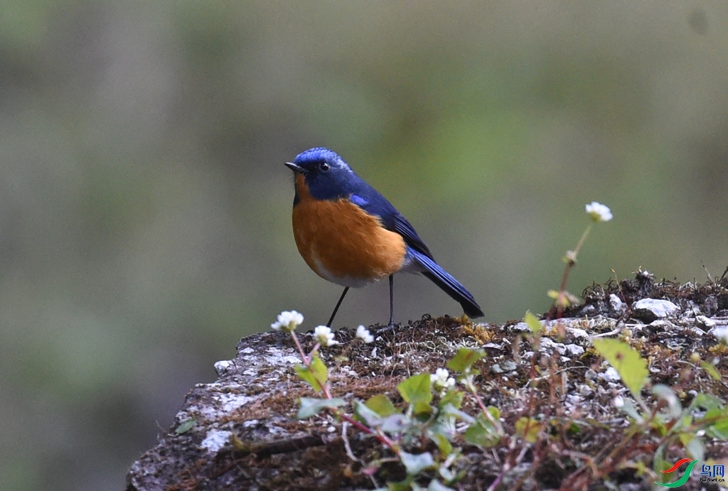 ����֮��  ��ʦ����������ʡ��ӹ�����������������������������.jpg