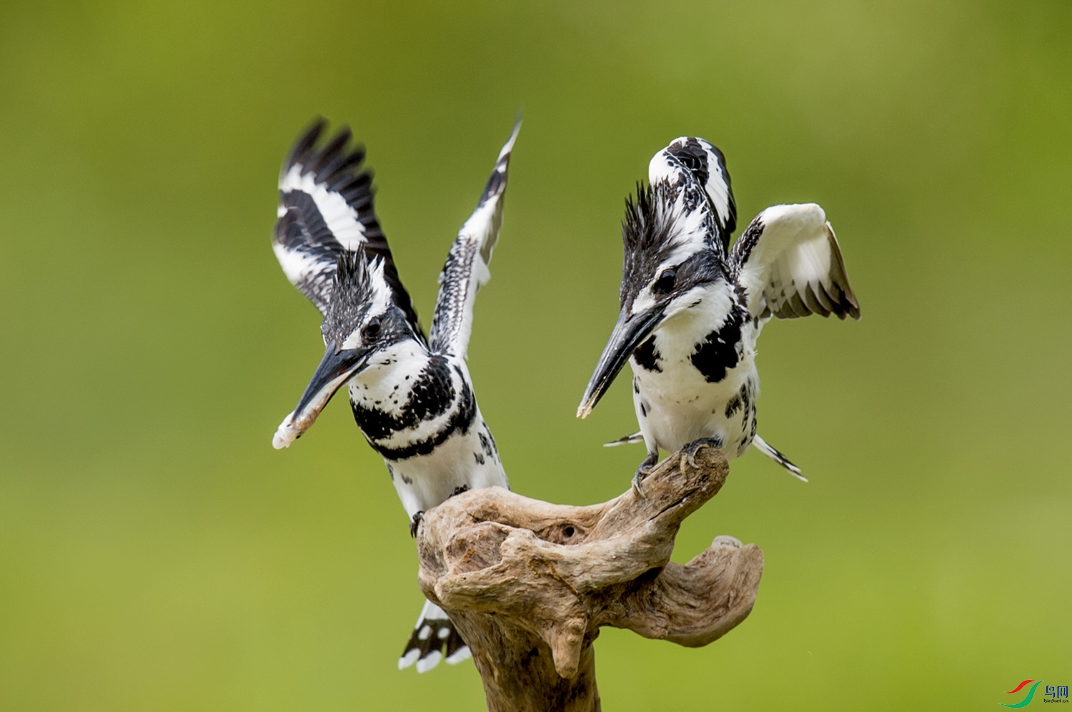 _DSC9297_��ͼ��.jpg