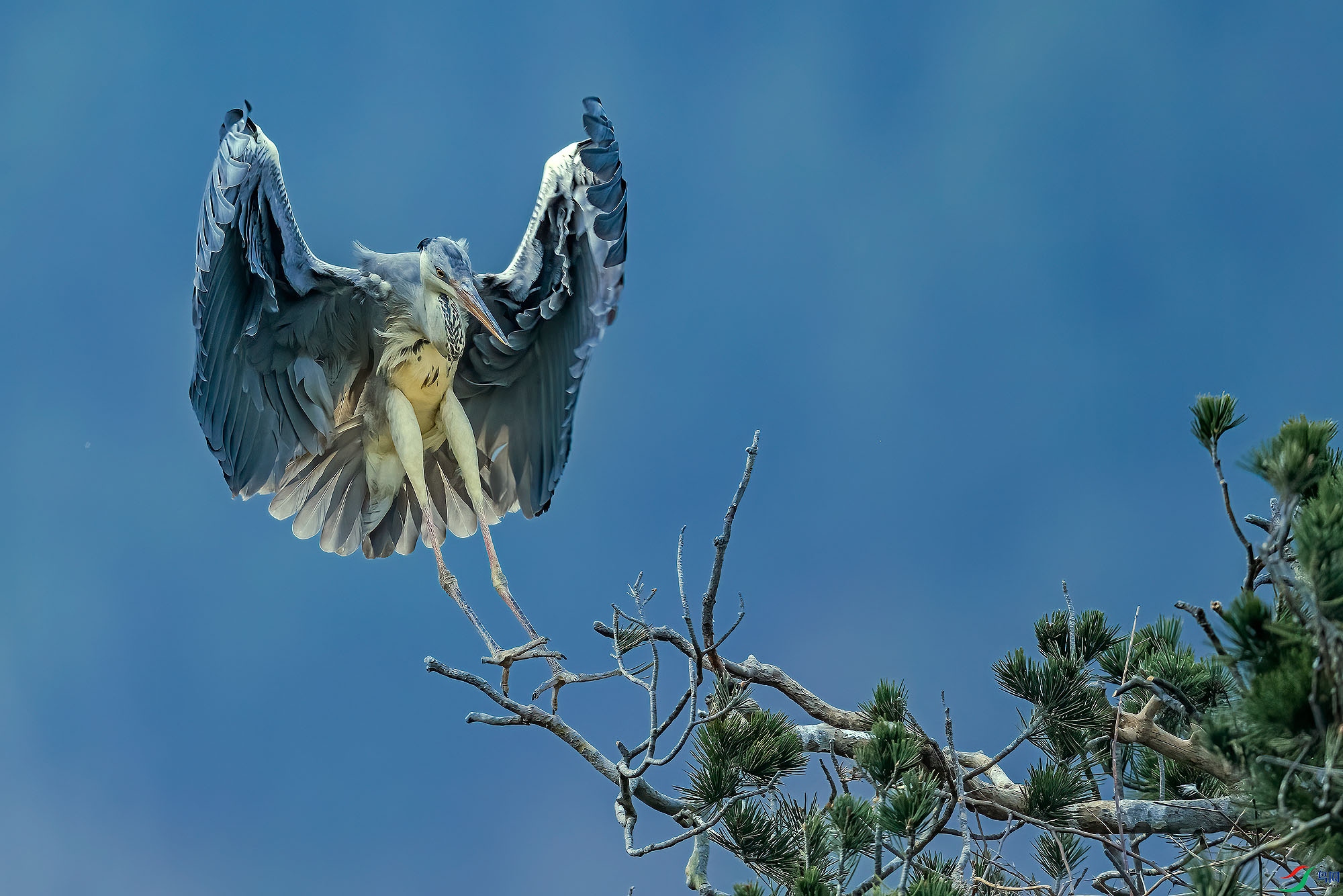 _DSC0365a ����.jpg