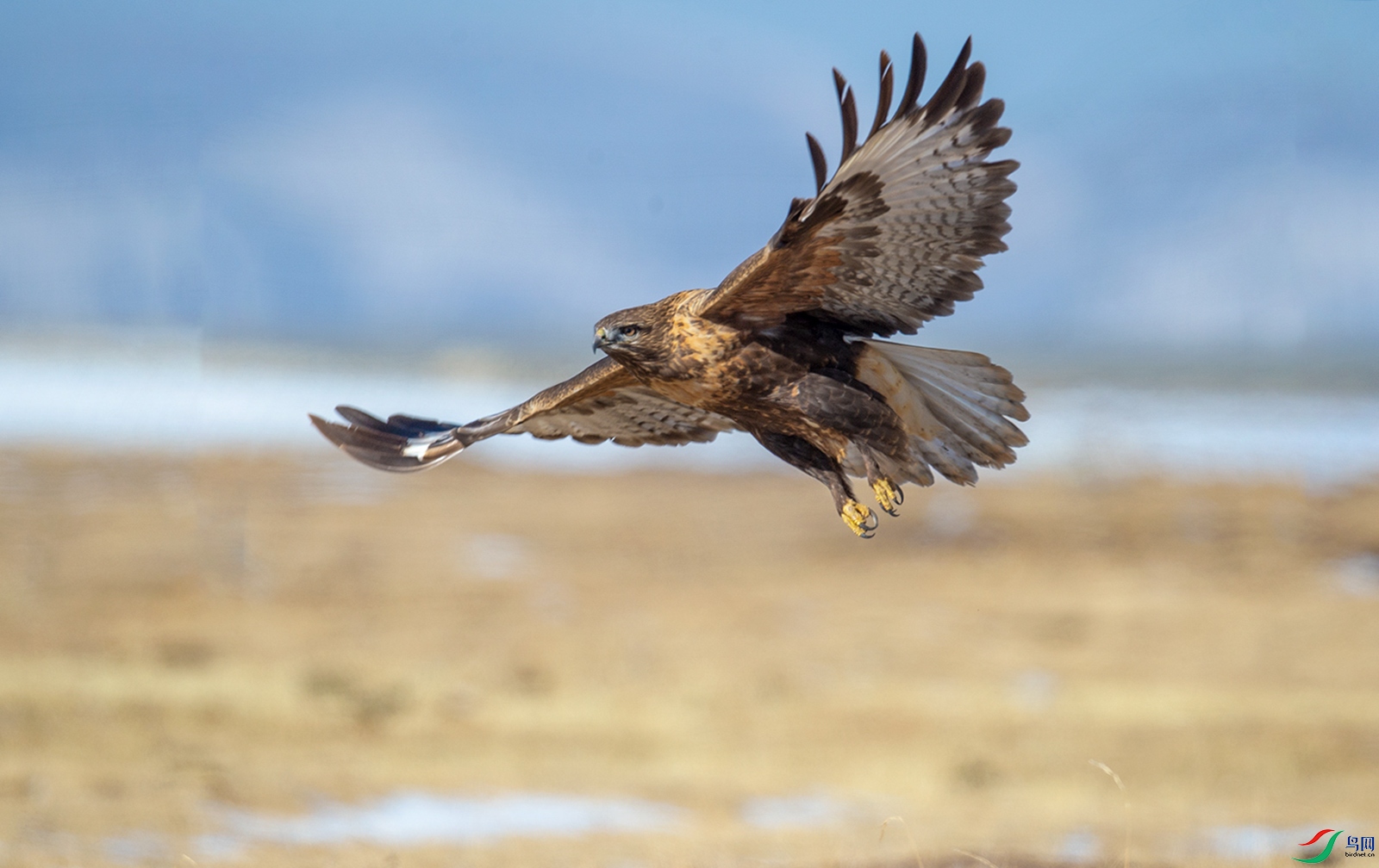 _DSC2045.jpg