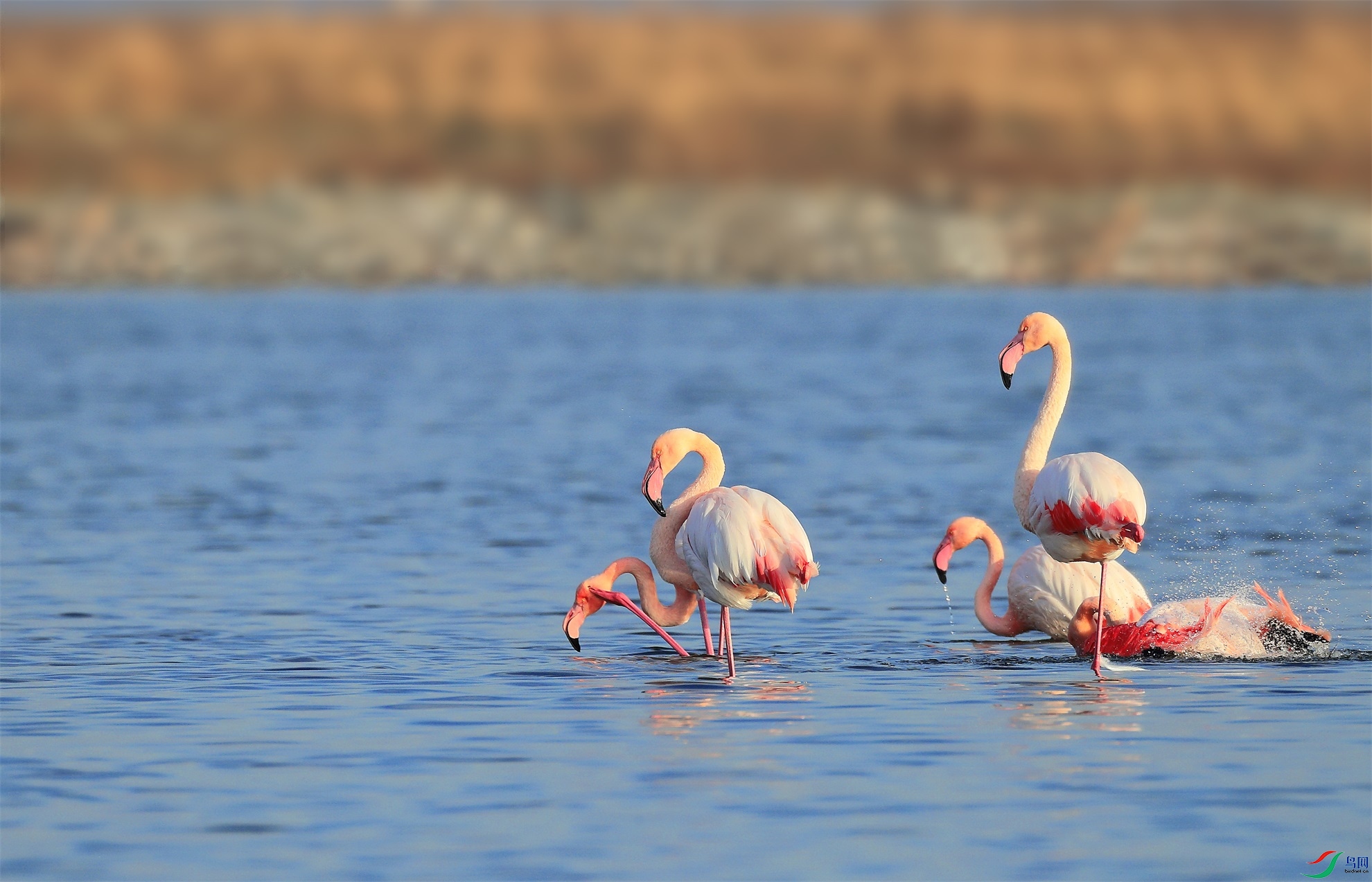 5 - ����.JPG