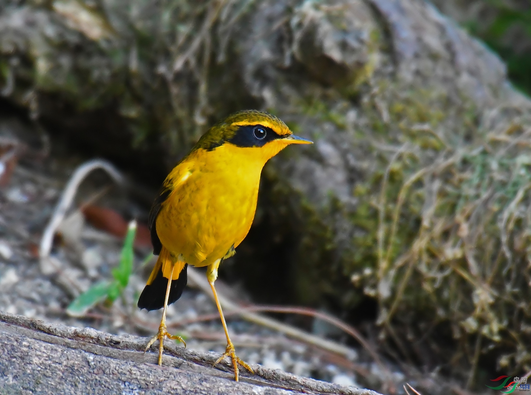 ��֮�Ժ�  ��ʦ����.jpg