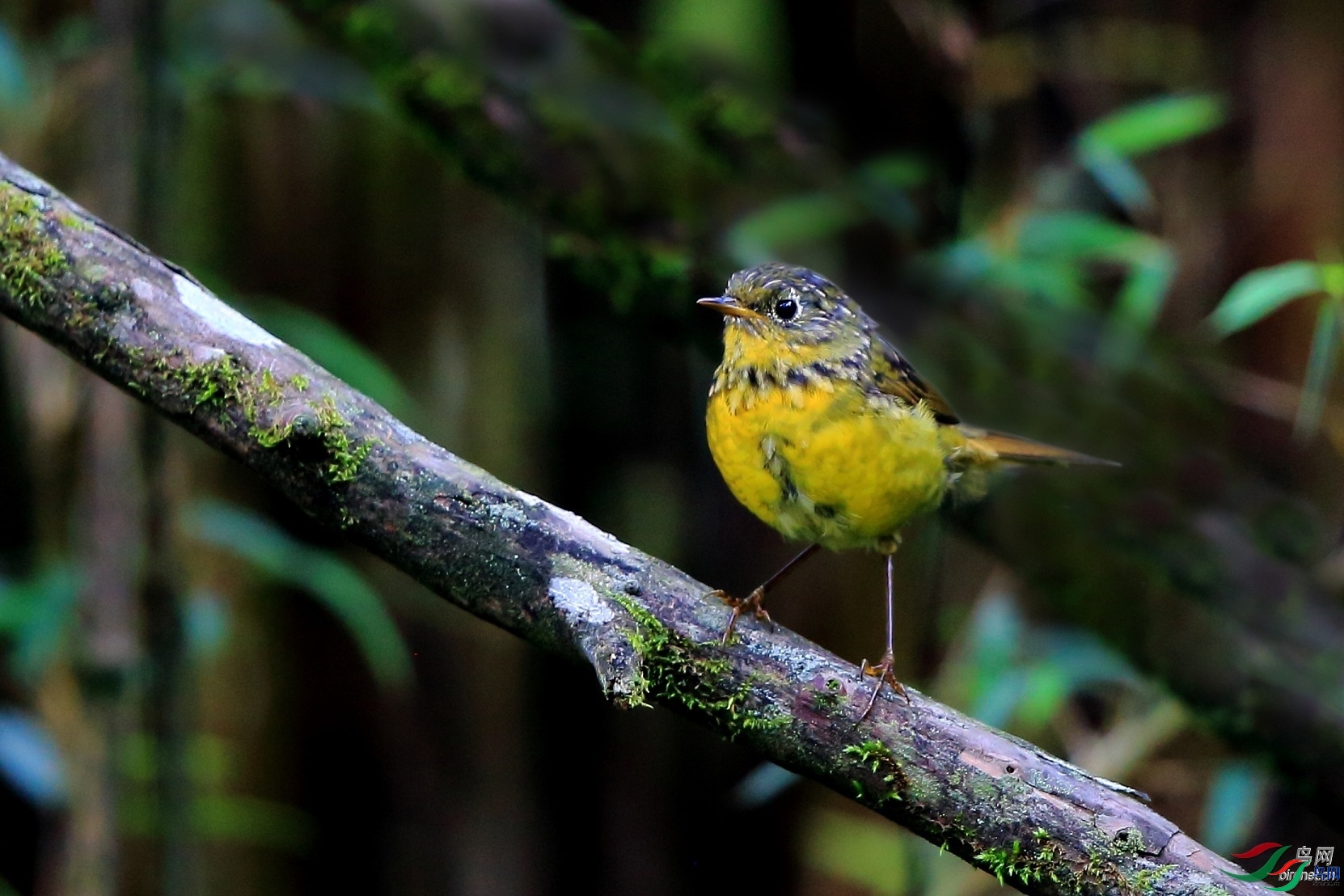 �����б�  ��ʦ����.jpg