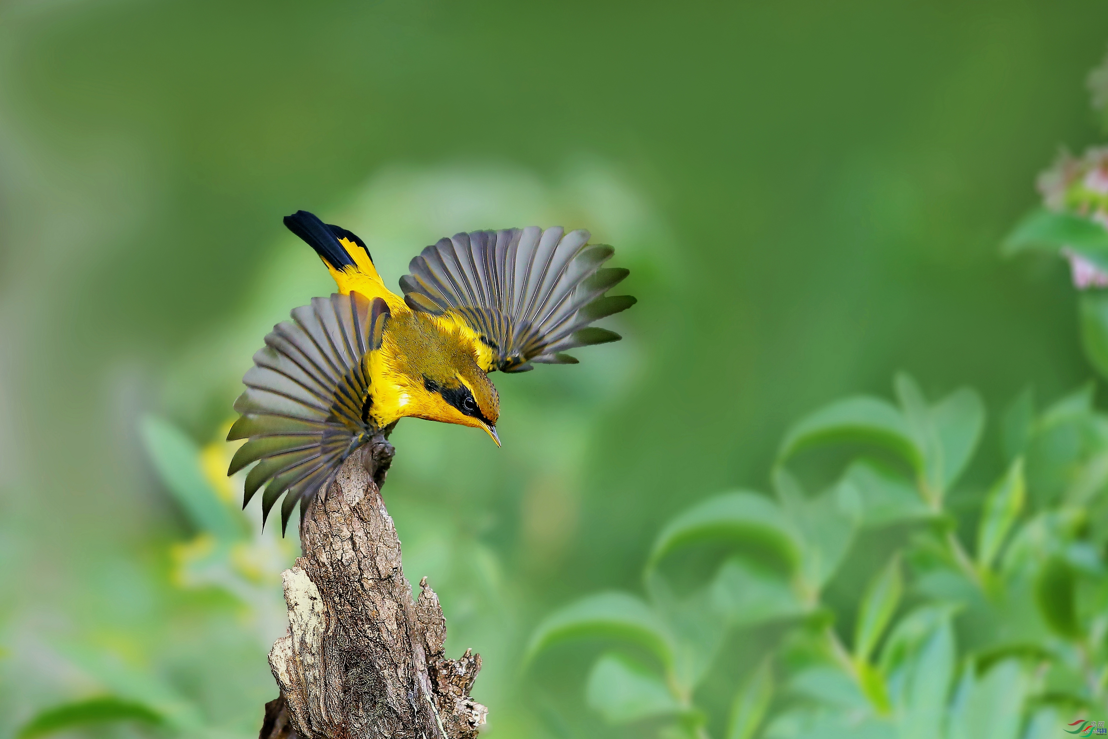 ��Ӱ  ��ʦ����.jpg