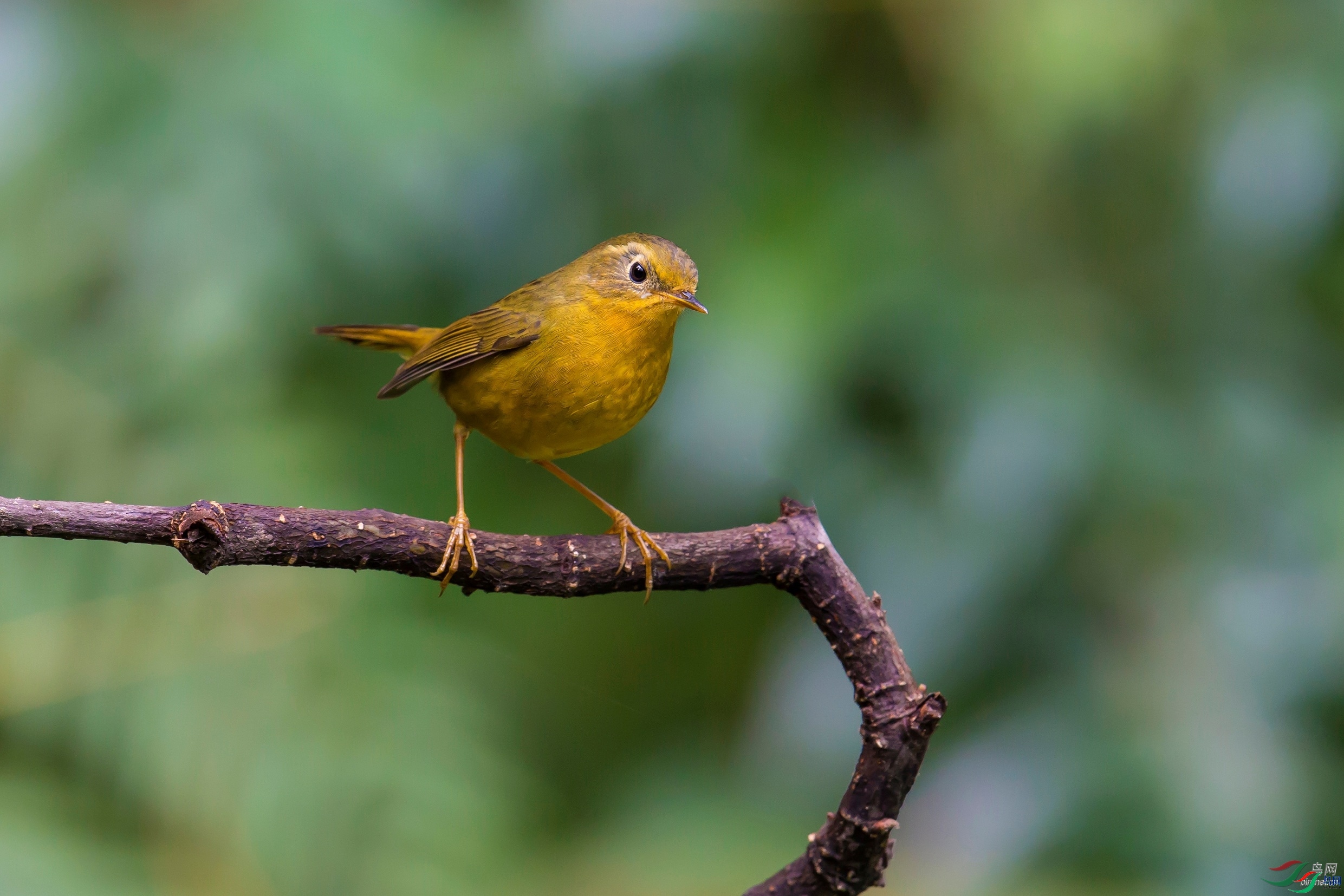 �������  ��ʦ����.jpg