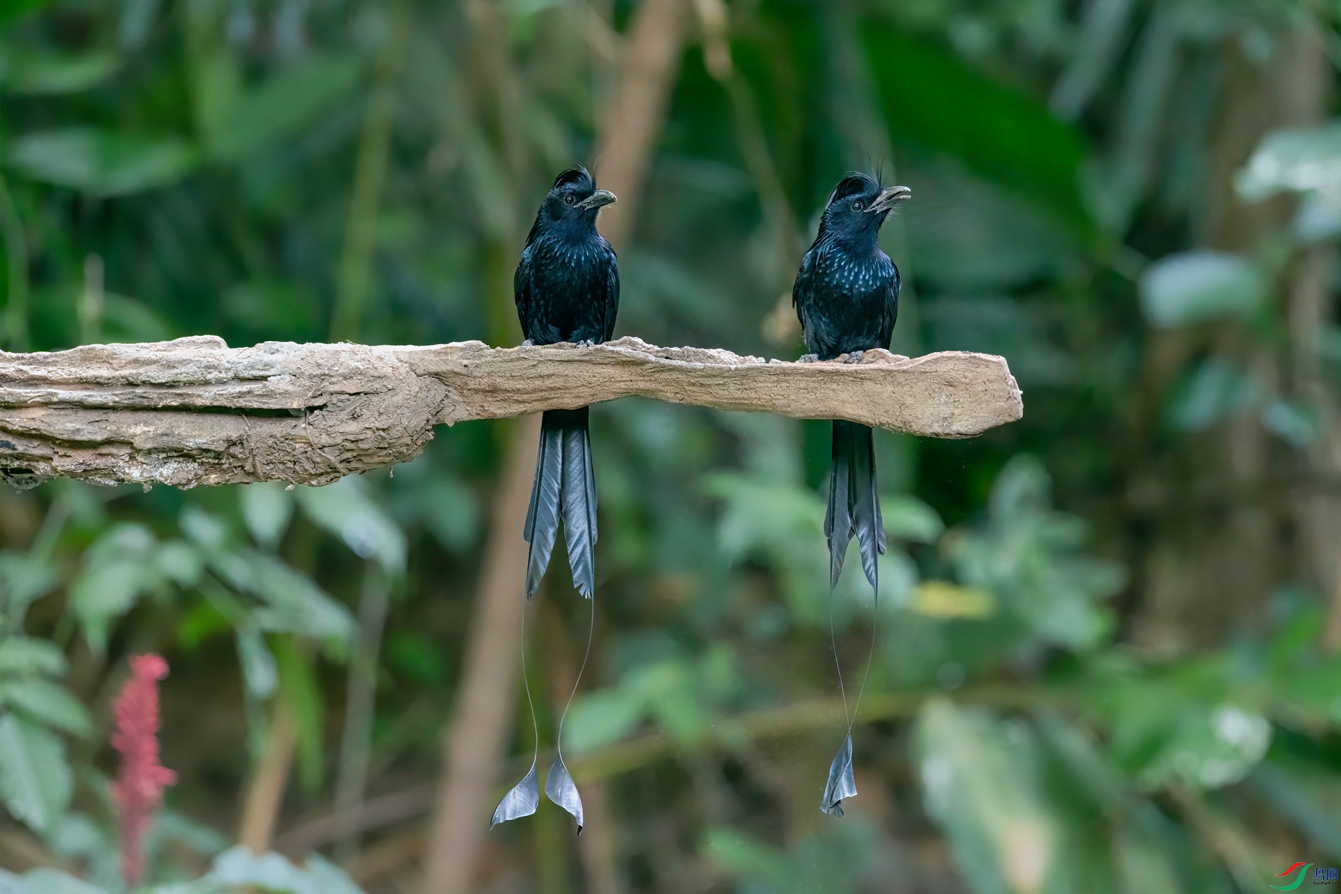 DSC_2573-1.jpg
