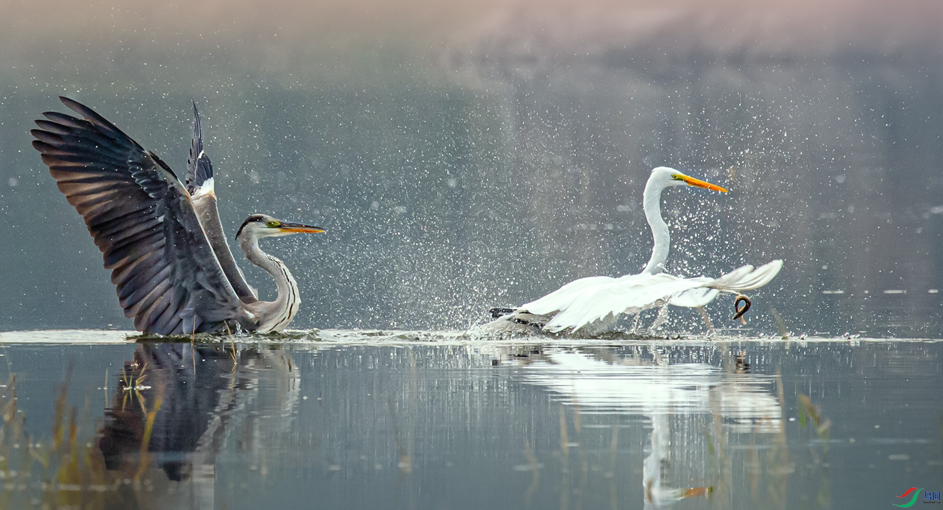 _DSC3358-xxxx.jpg