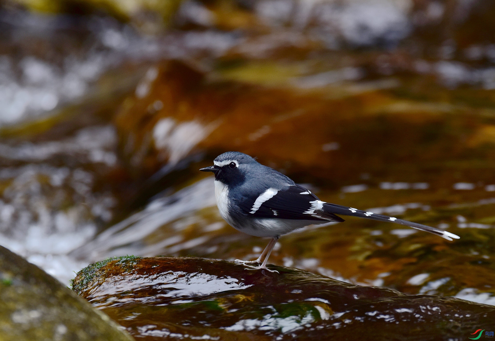 D8I_0643.jpg