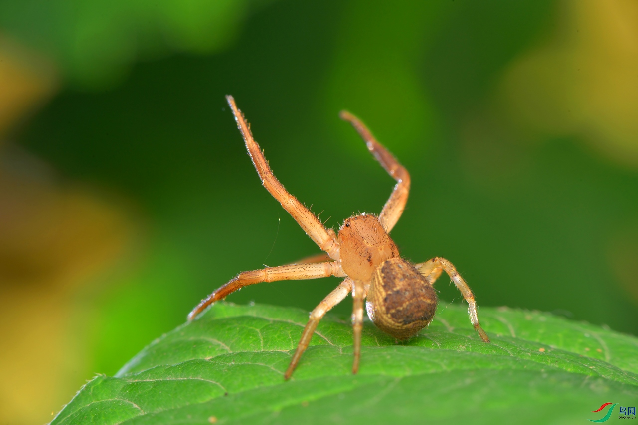 DSC_3955 ����.jpg