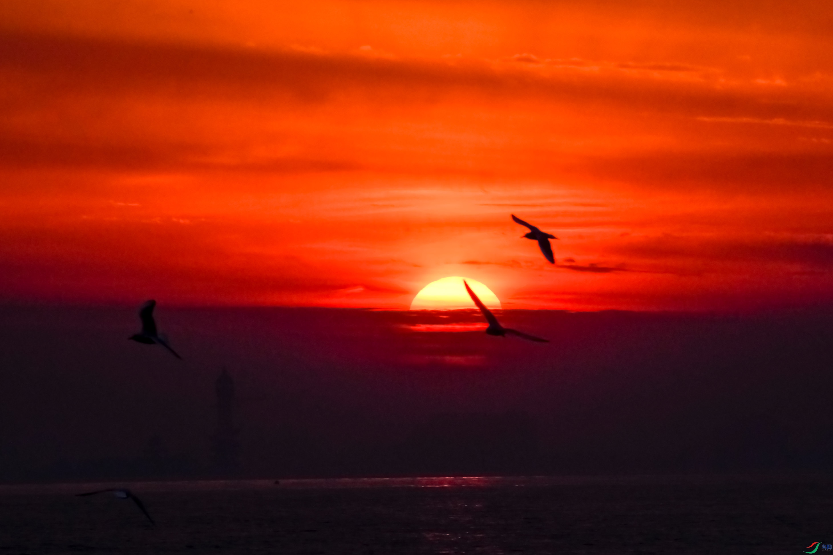 ����Ϧ����