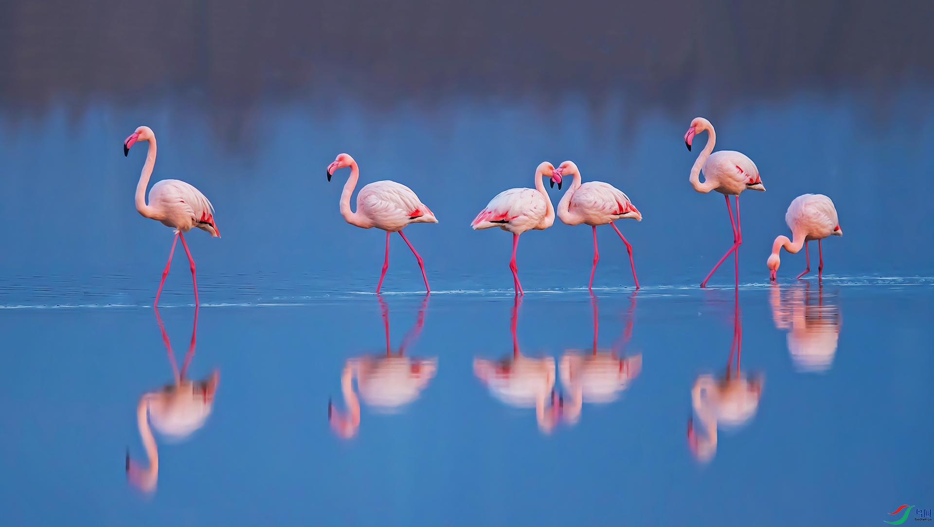 DSC_0323-1-DeNoiseAI-standard (1).jpg