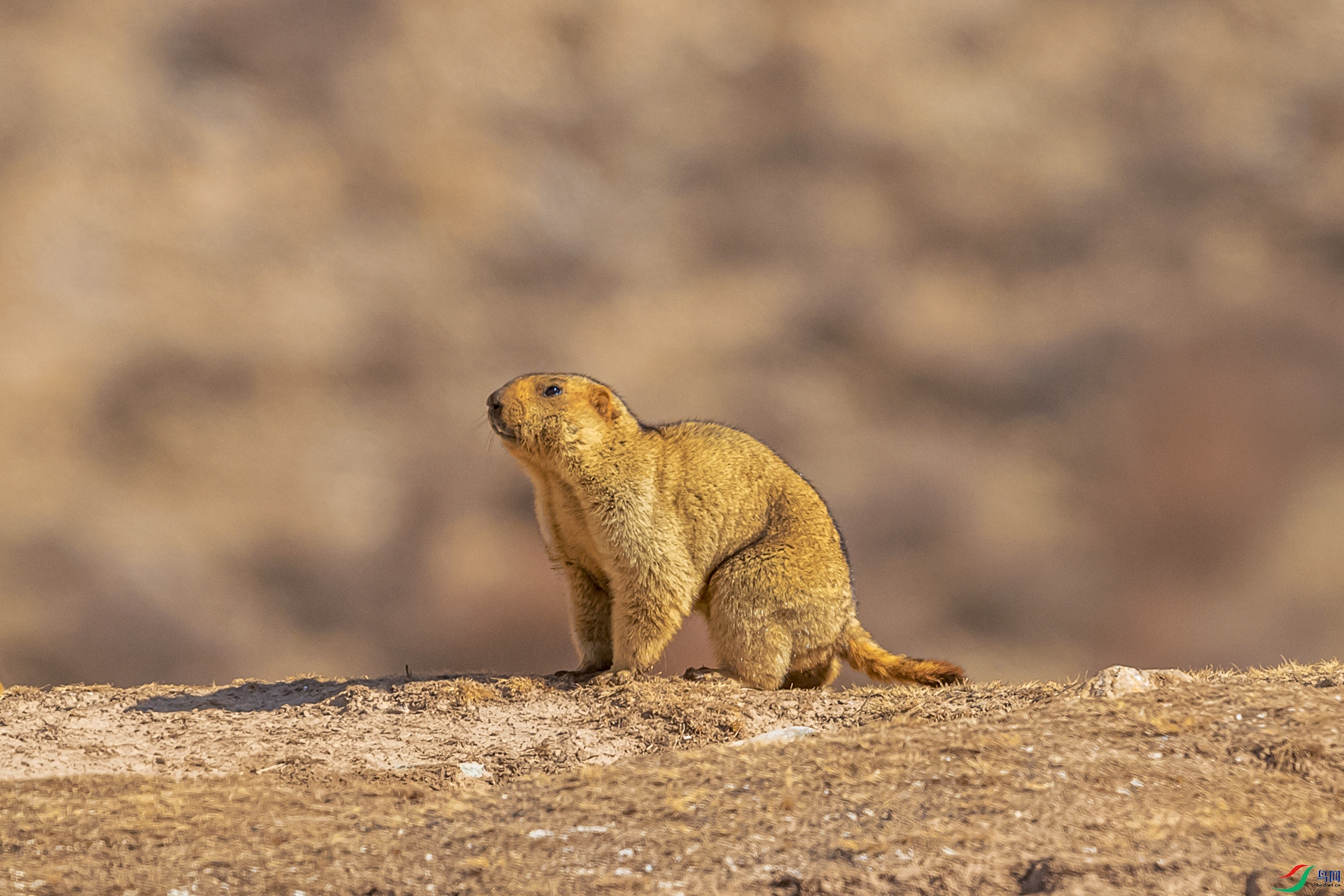 AO4I0500-2 ����.jpg