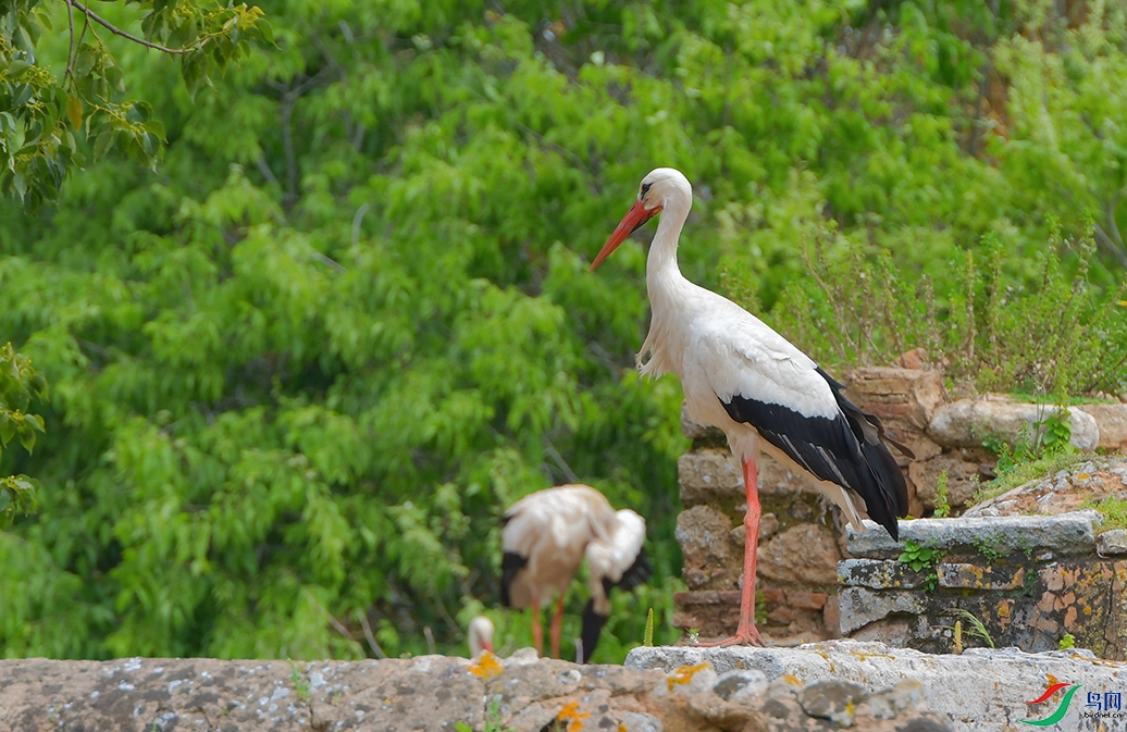 4DSC_0063_DxOa.jpg