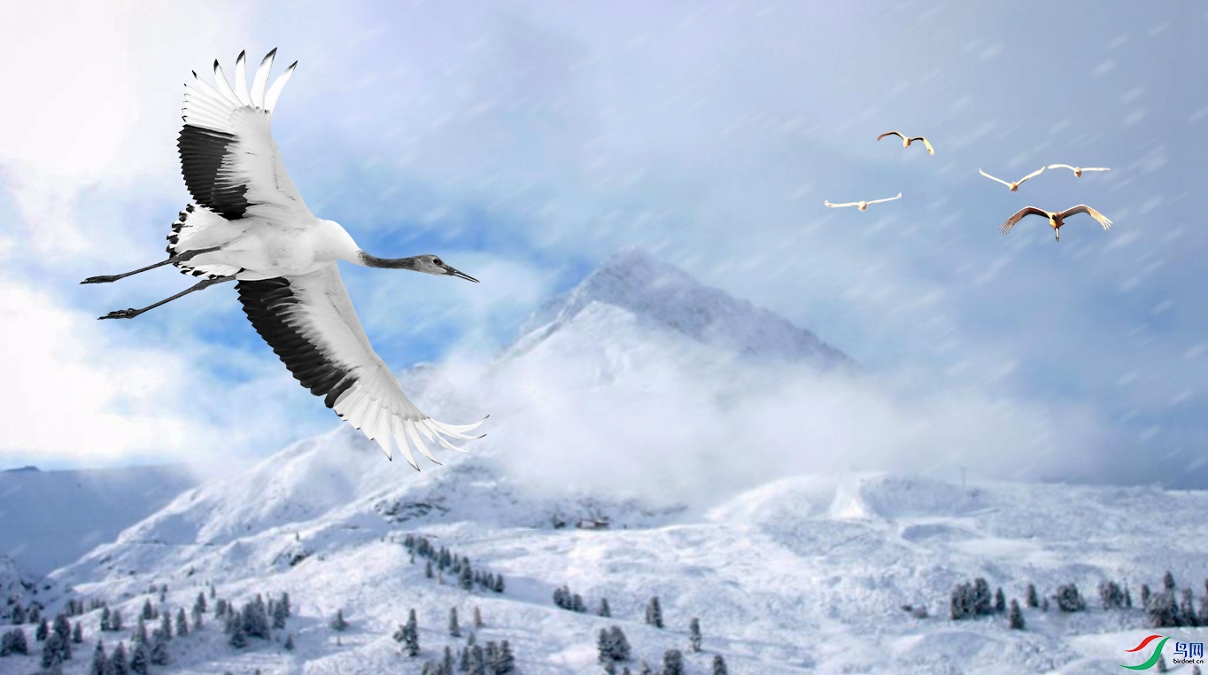 ��Ļ���� 2021-12-19 ����1.31.39.jpg