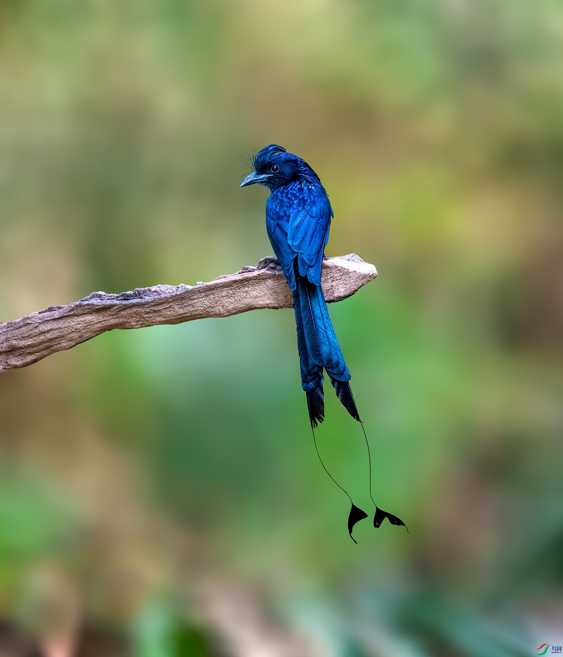 DSC_9825f.jpg