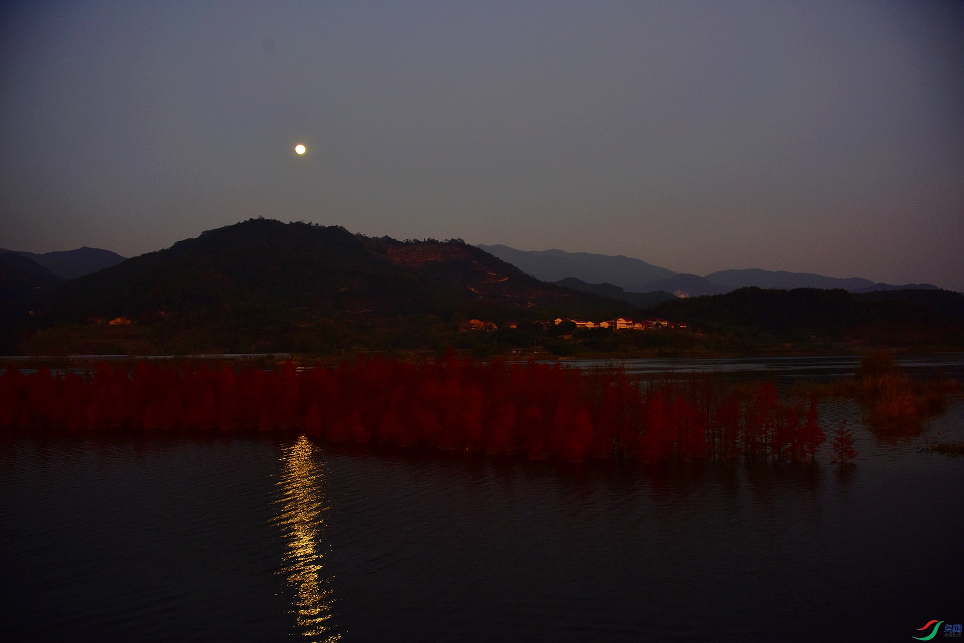 D8I_0370.jpg