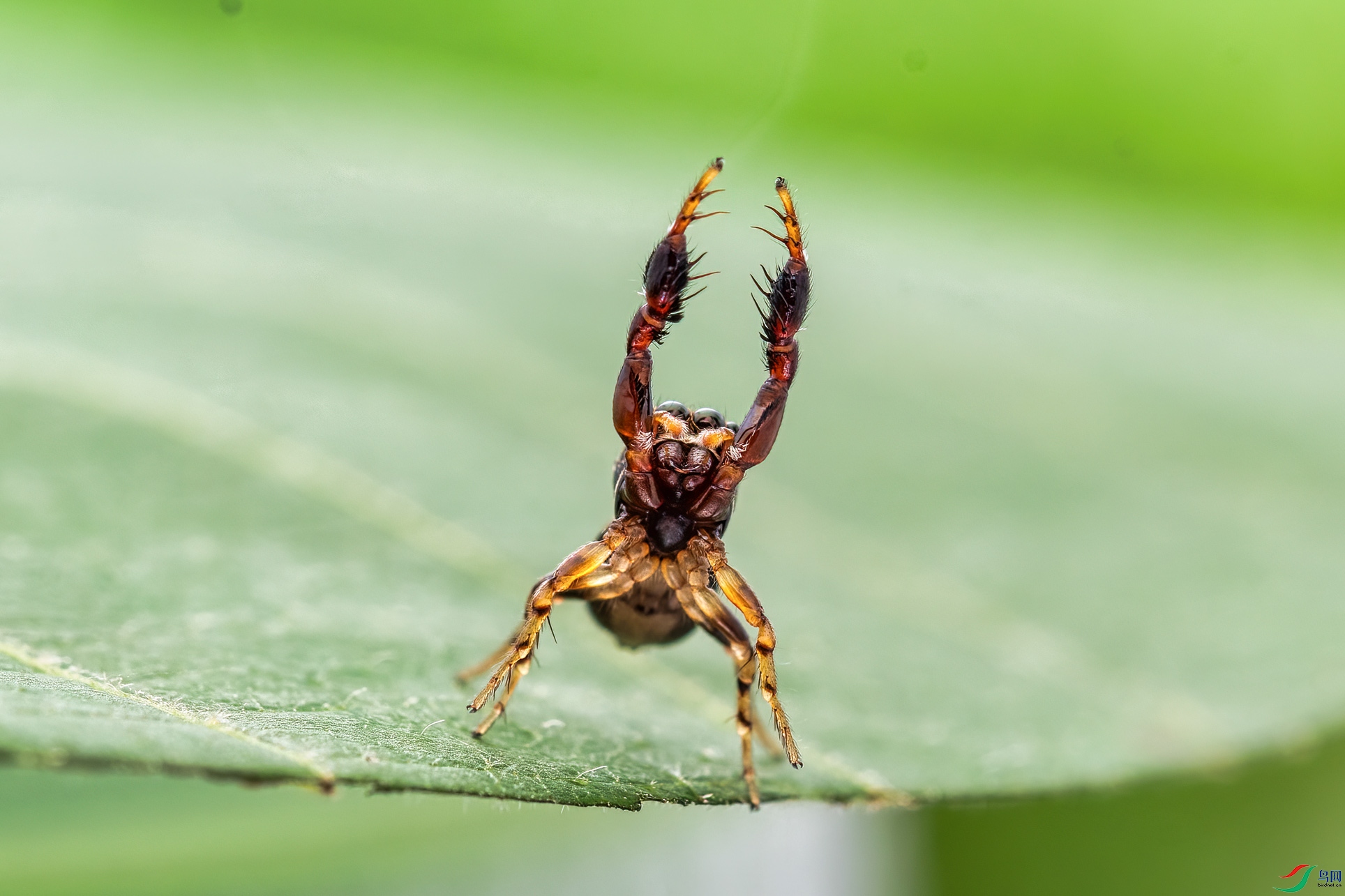 DSC_6711-1.jpg