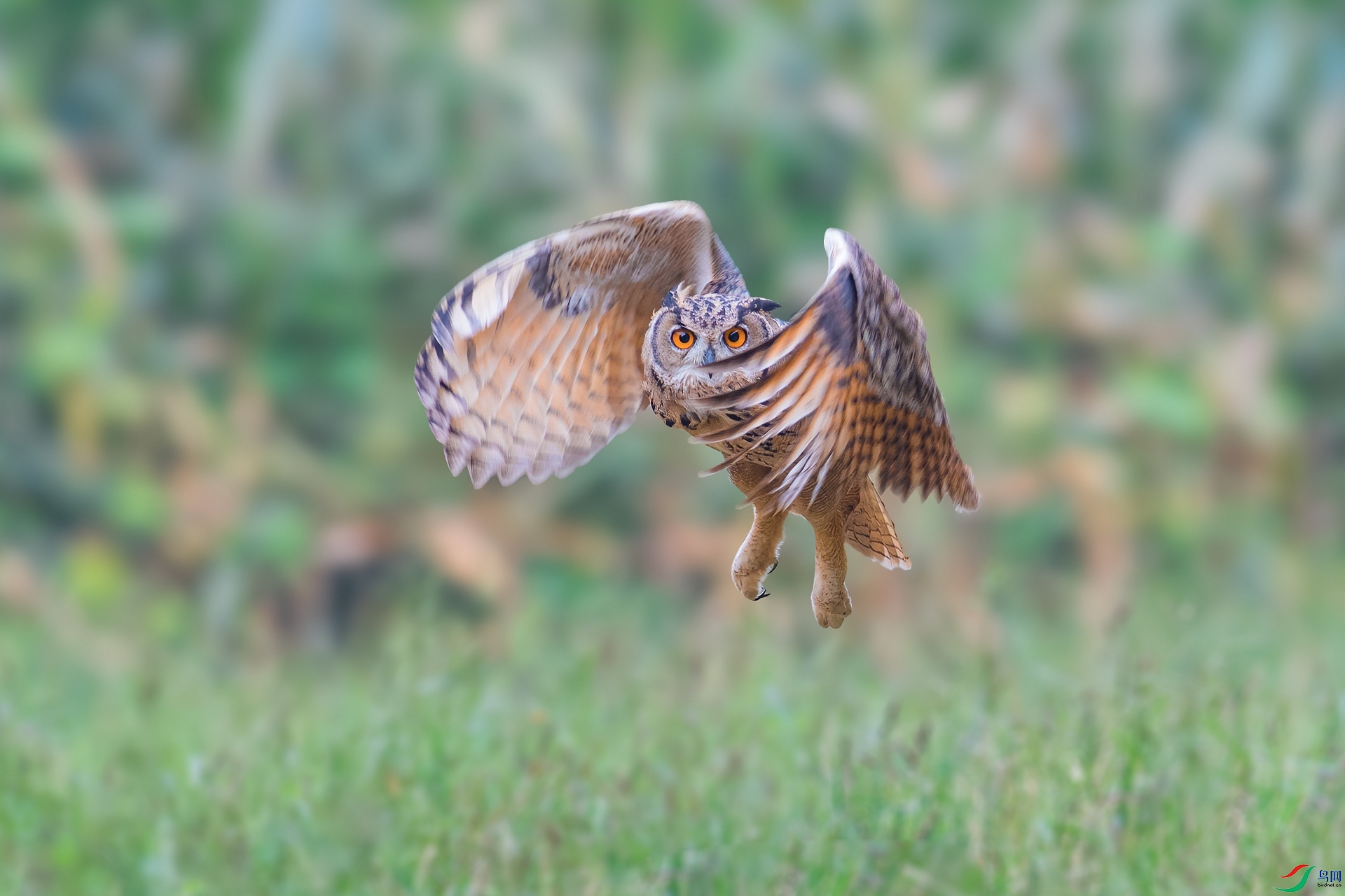 ��ƬDSC_9061.jpg