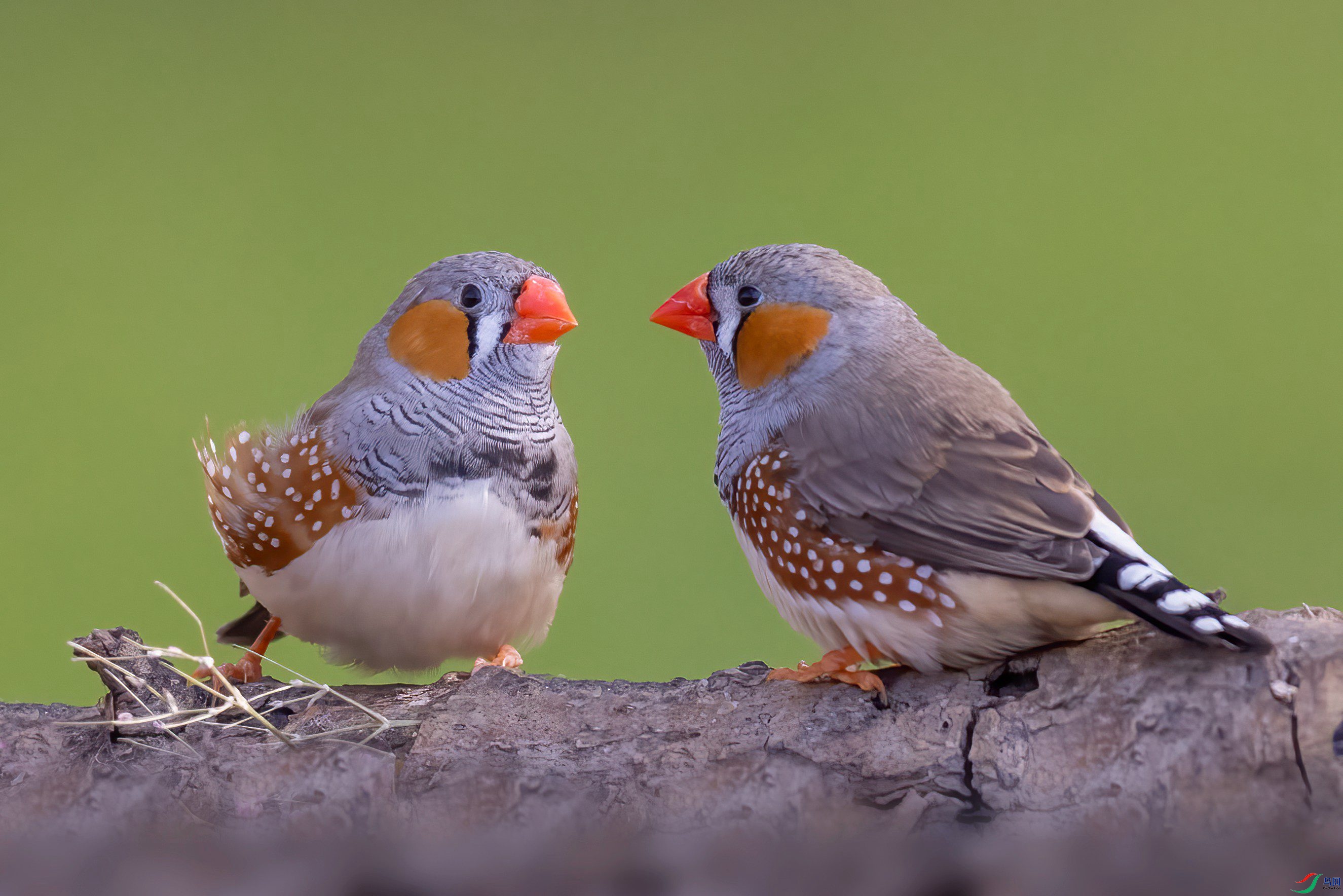 1O9A6287-1 ���� 2_����_����.jpg