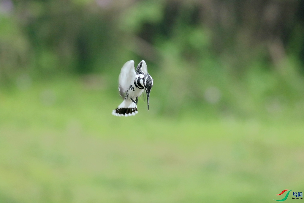 367A3746 (2)_����.jpg