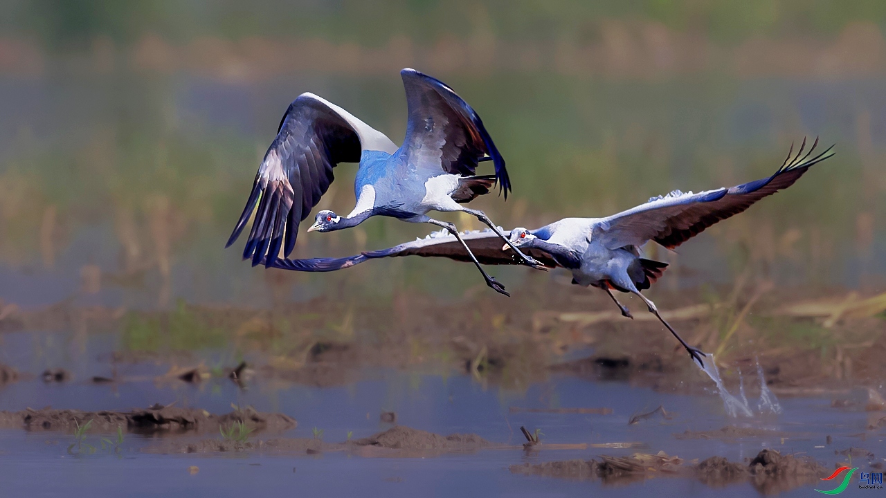 A56I2301 ����.jpg