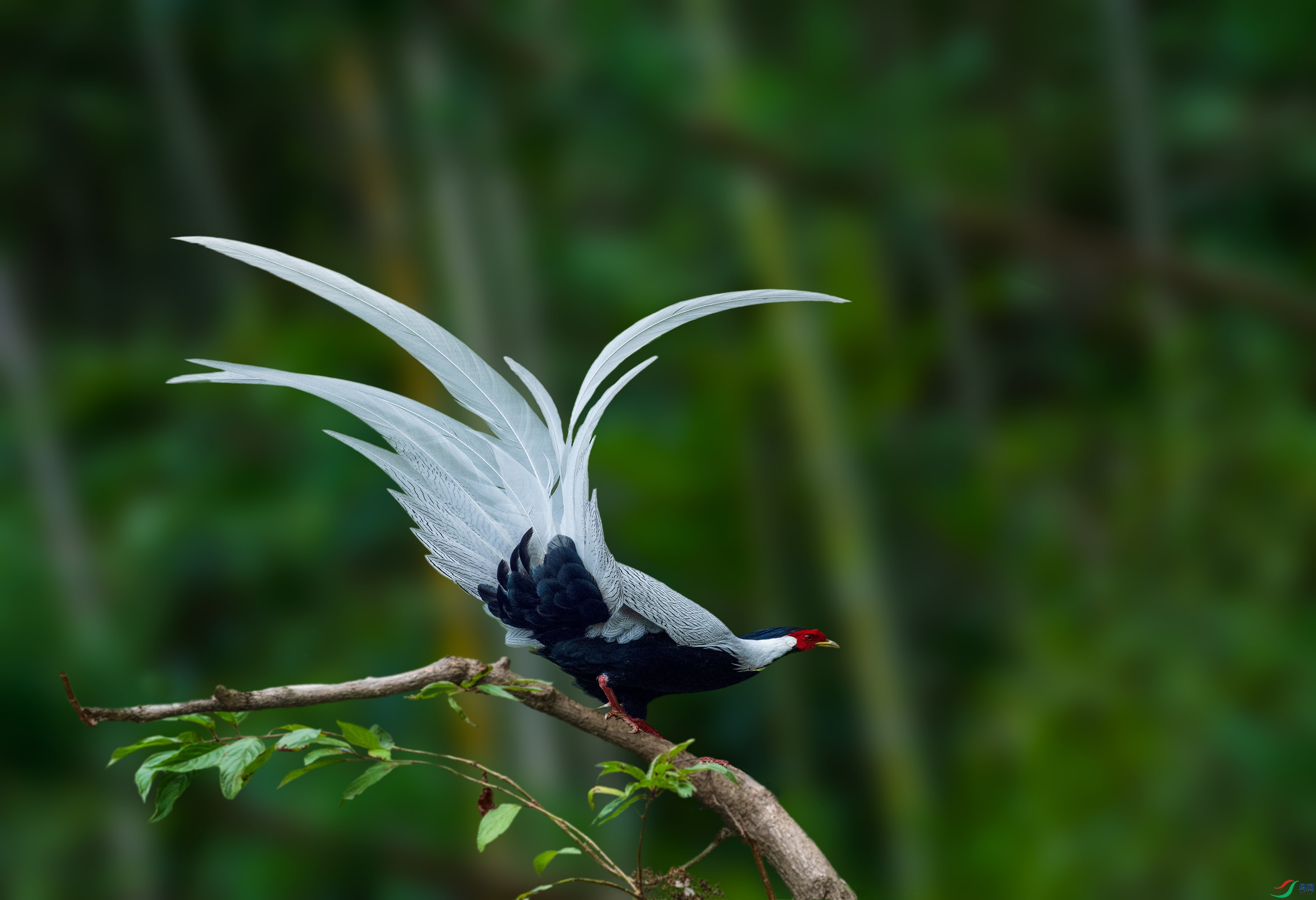 DSC_5873.jpg