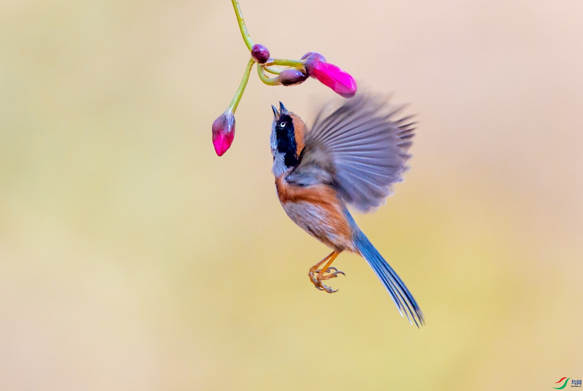 DSC_0154a.jpg