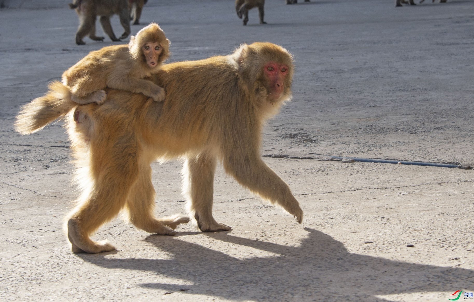 DSC_5658---_conew2.jpg