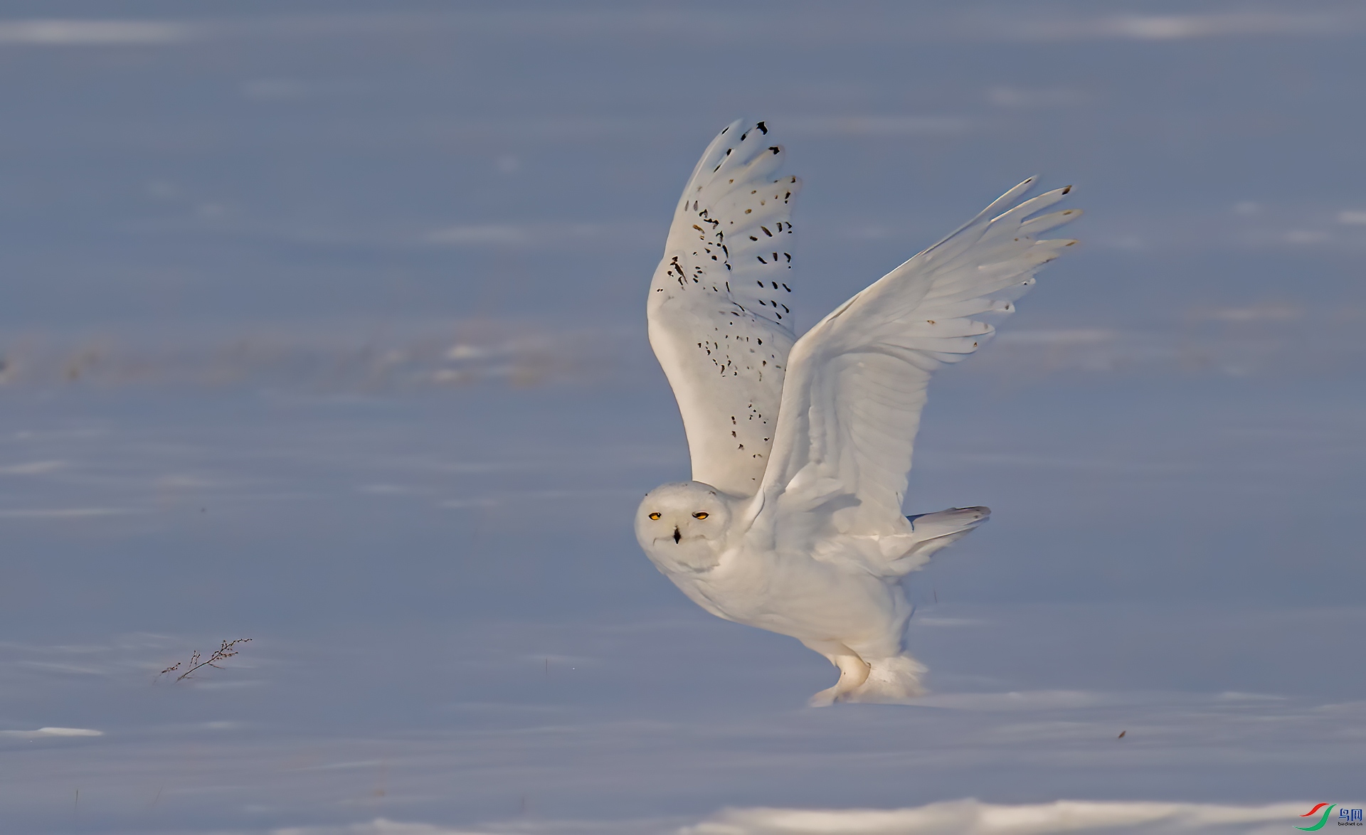 DSC_3475.jpg