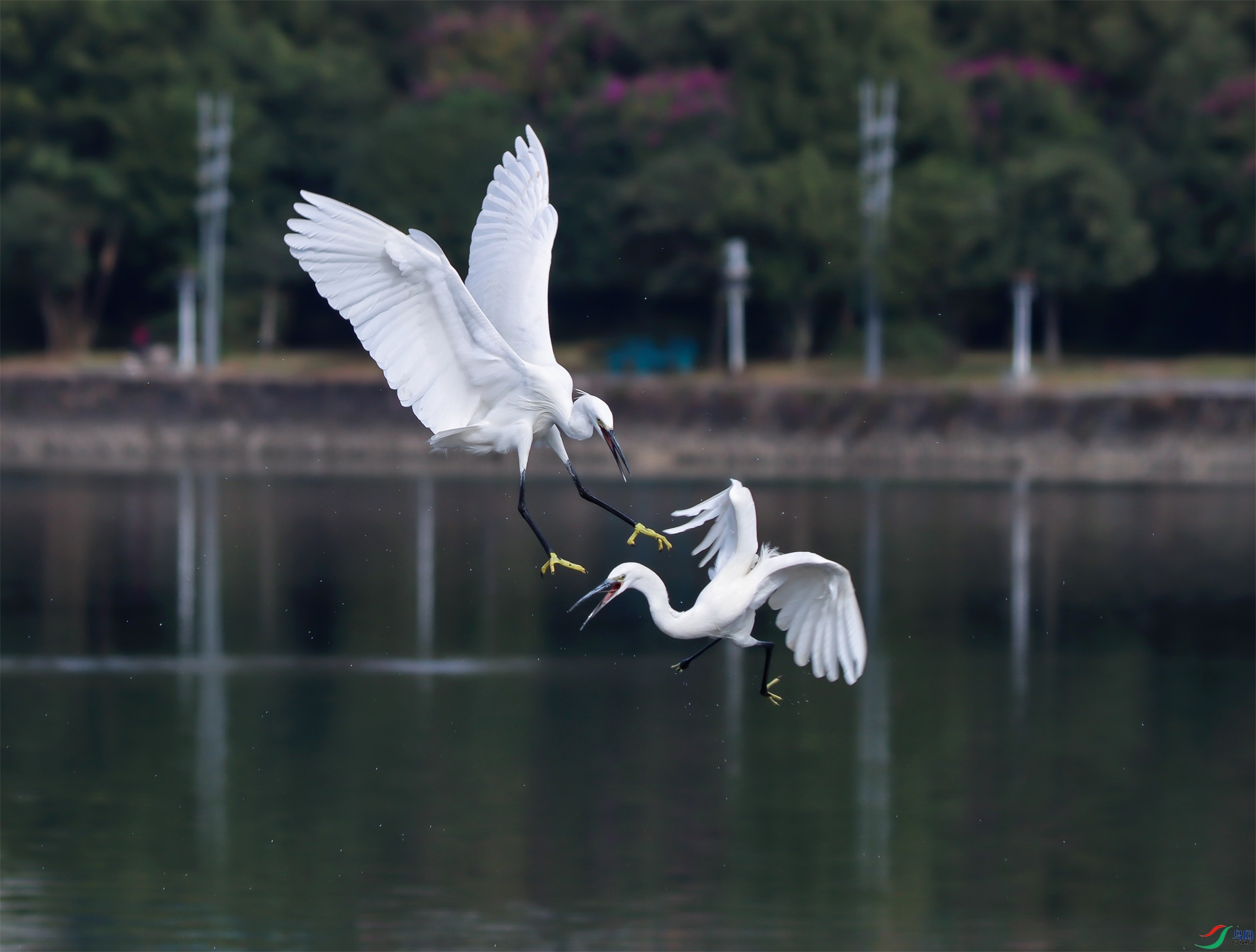 IMG_594911.jpg