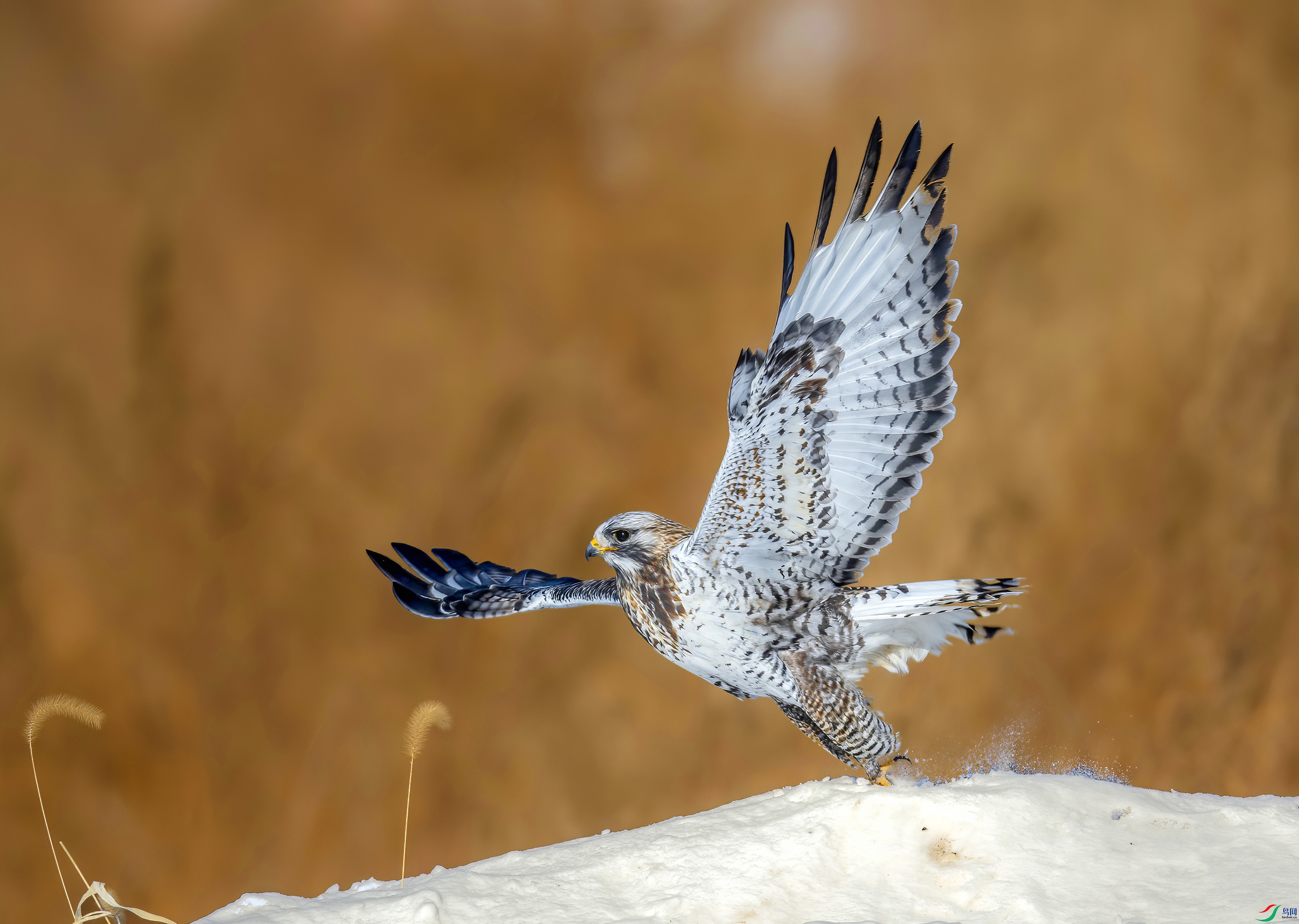 _JLN2476_1     ok.jpg