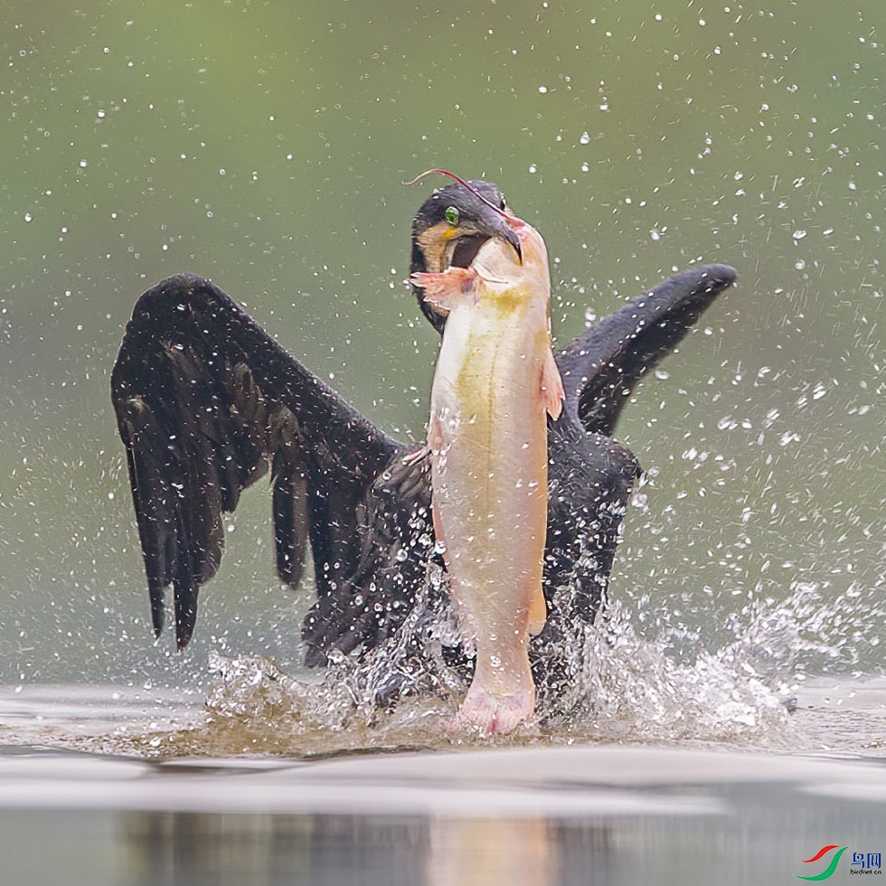 D5W_2786- 1����.jpg