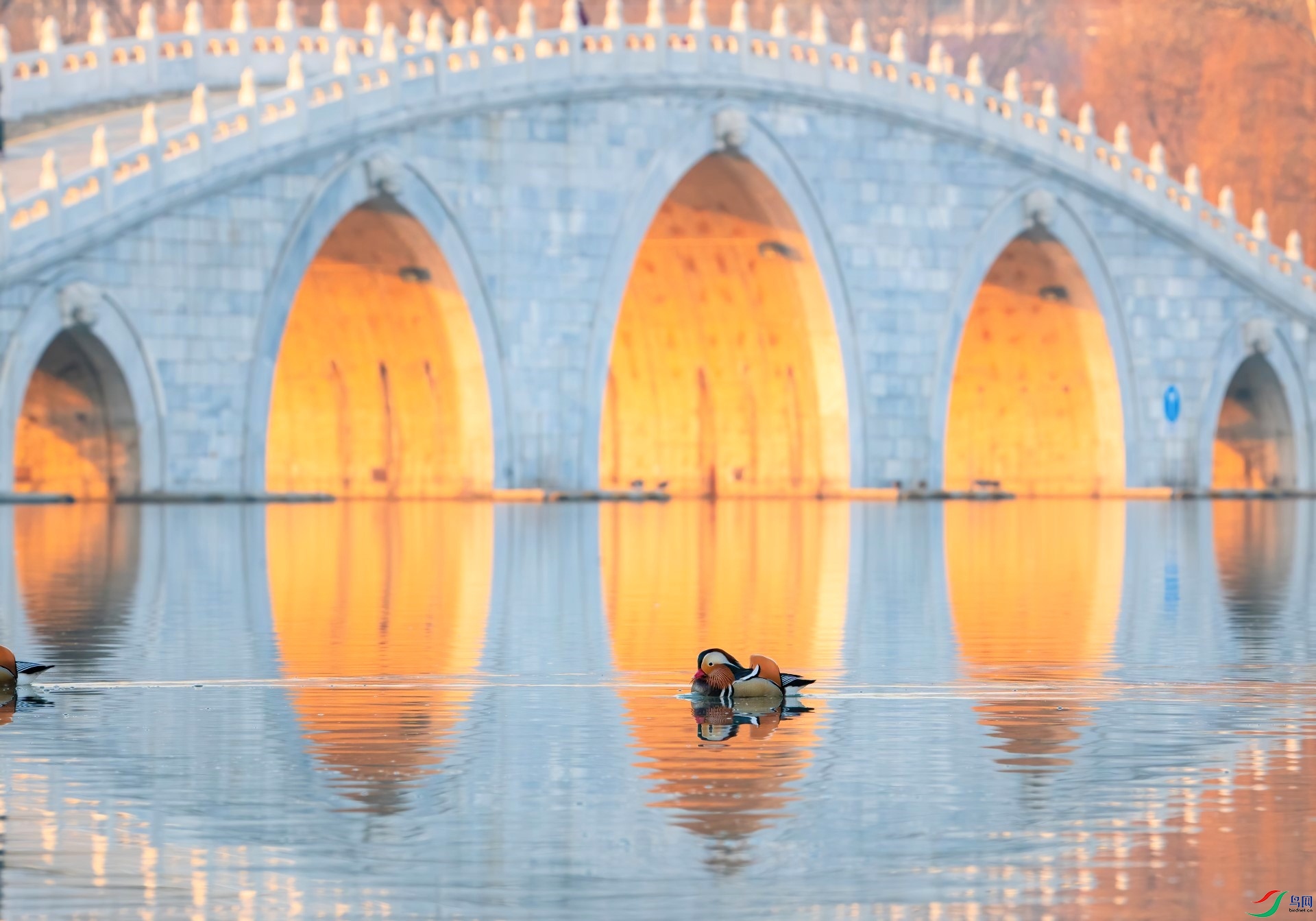 DSC02854-denoise-denoise (2).jpg