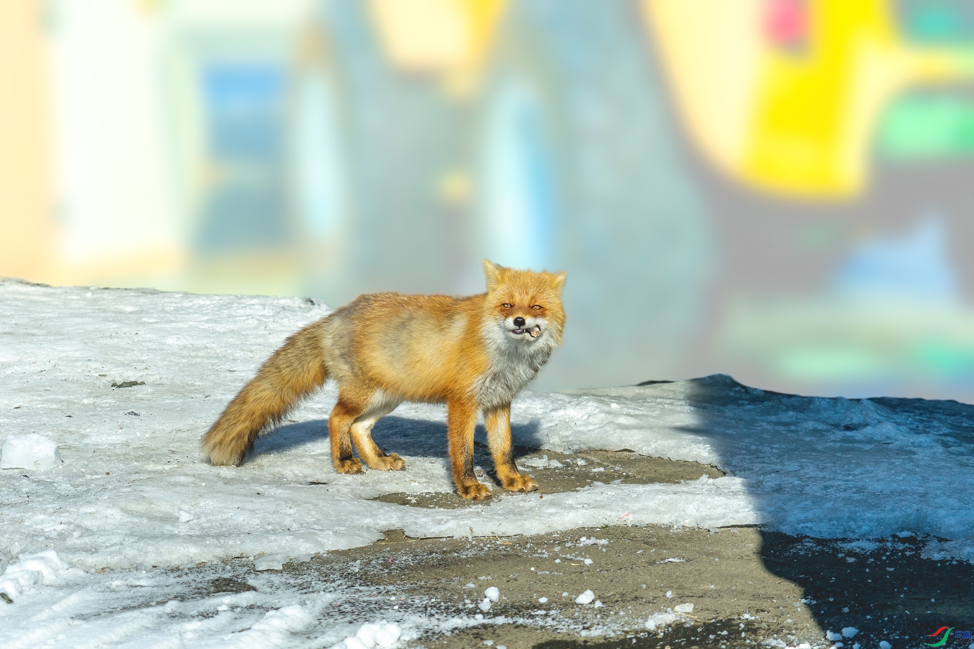 ��DSC03000-mask-composite.jpg